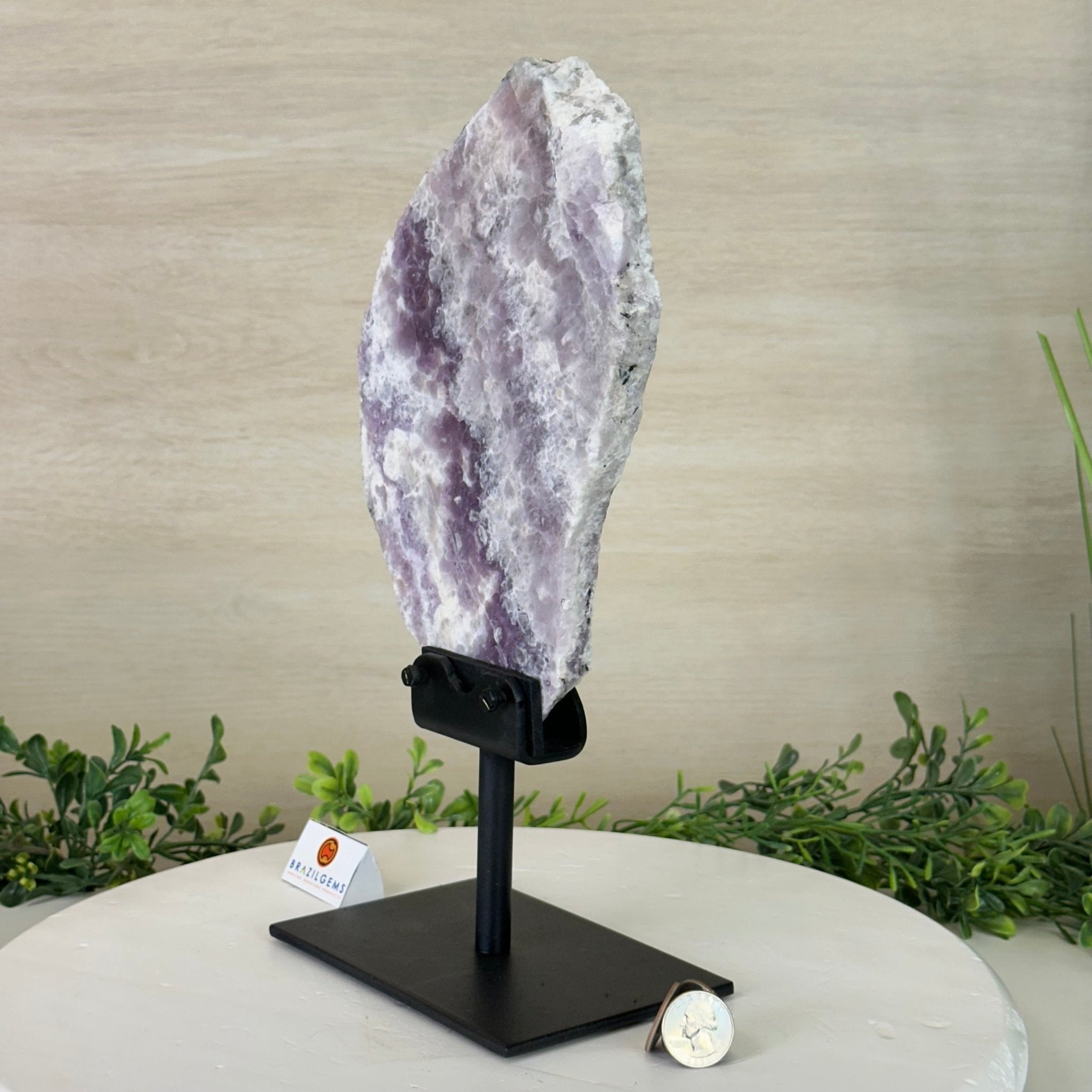 Chevron Amethyst Crystal Slice on a Stand, 4.3 lbs & 12.6" Tall #5621AC - 006 - Brazil GemsBrazil GemsChevron Amethyst Crystal Slice on a Stand, 4.3 lbs & 12.6" Tall #5621AC - 006Slices on Fixed Bases5621AC - 006