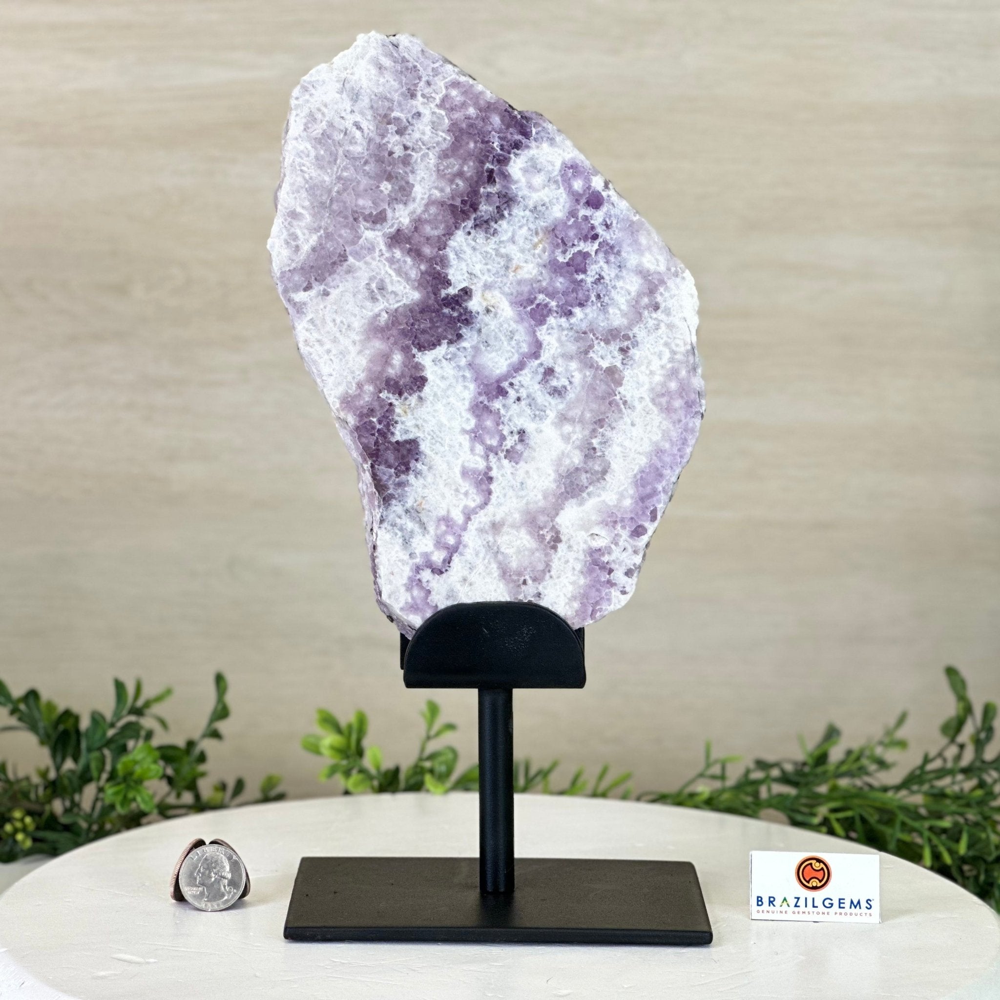 Shop Amethyst Slices - Brazil Gems