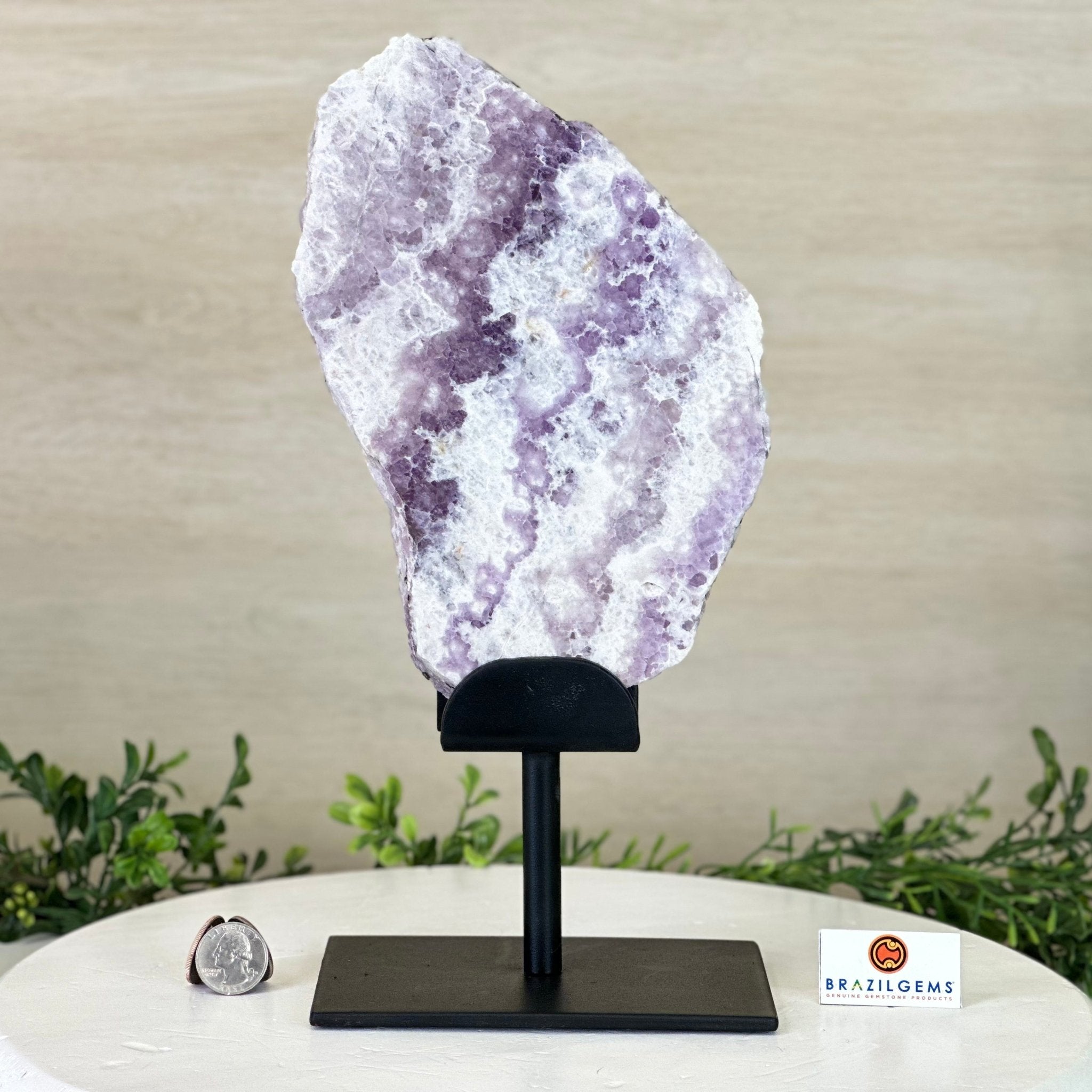 Chevron Amethyst Crystal Slice on a Stand, 4.3 lbs & 12.6" Tall #5621AC - 006 - Brazil GemsBrazil GemsChevron Amethyst Crystal Slice on a Stand, 4.3 lbs & 12.6" Tall #5621AC - 006Slices on Fixed Bases5621AC - 006