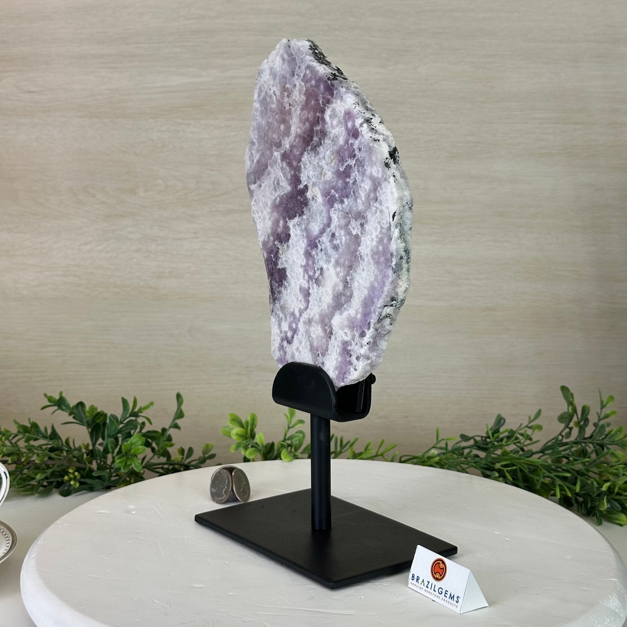 Chevron Amethyst Crystal Slice on a Stand, 4.3 lbs & 12.6" Tall #5621AC - 006 - Brazil GemsBrazil GemsChevron Amethyst Crystal Slice on a Stand, 4.3 lbs & 12.6" Tall #5621AC - 006Slices on Fixed Bases5621AC - 006