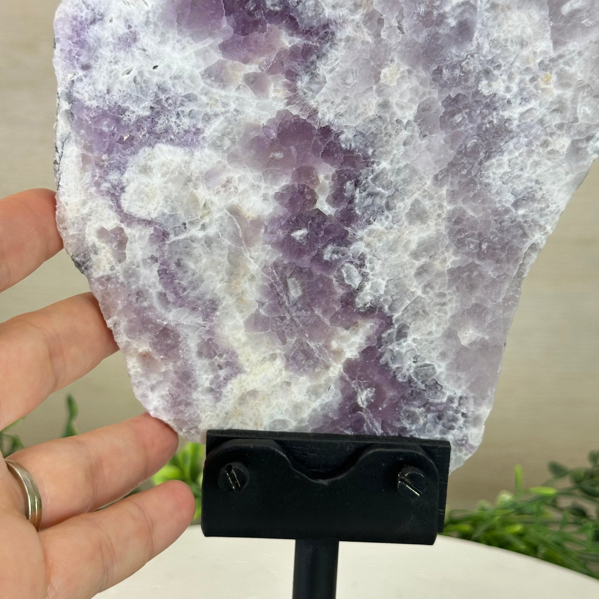 Chevron Amethyst Crystal Slice on a Stand, 4.3 lbs & 12.6" Tall #5621AC - 006 - Brazil GemsBrazil GemsChevron Amethyst Crystal Slice on a Stand, 4.3 lbs & 12.6" Tall #5621AC - 006Slices on Fixed Bases5621AC - 006