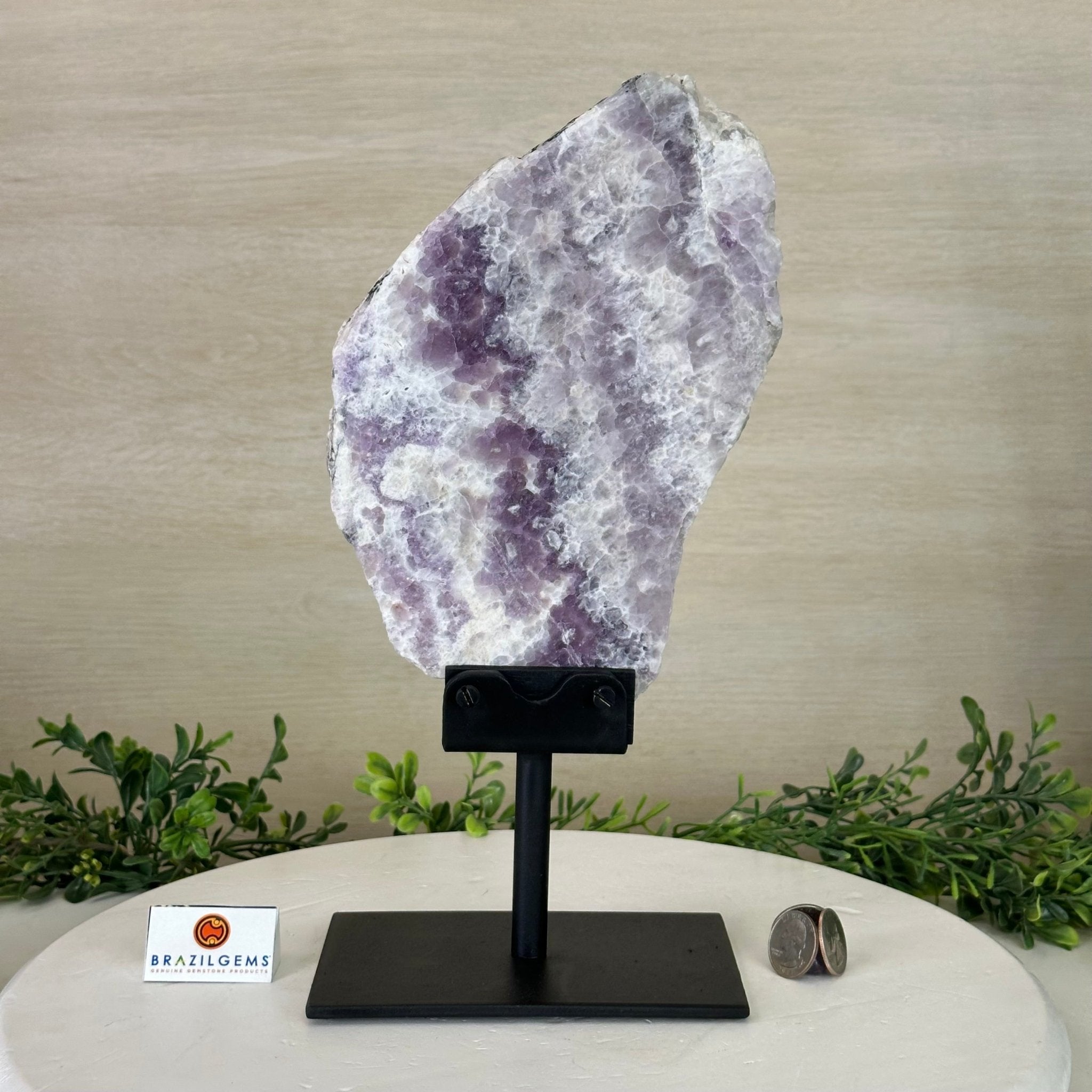 Chevron Amethyst Crystal Slice on a Stand, 4.3 lbs & 12.6" Tall #5621AC - 006 - Brazil GemsBrazil GemsChevron Amethyst Crystal Slice on a Stand, 4.3 lbs & 12.6" Tall #5621AC - 006Slices on Fixed Bases5621AC - 006