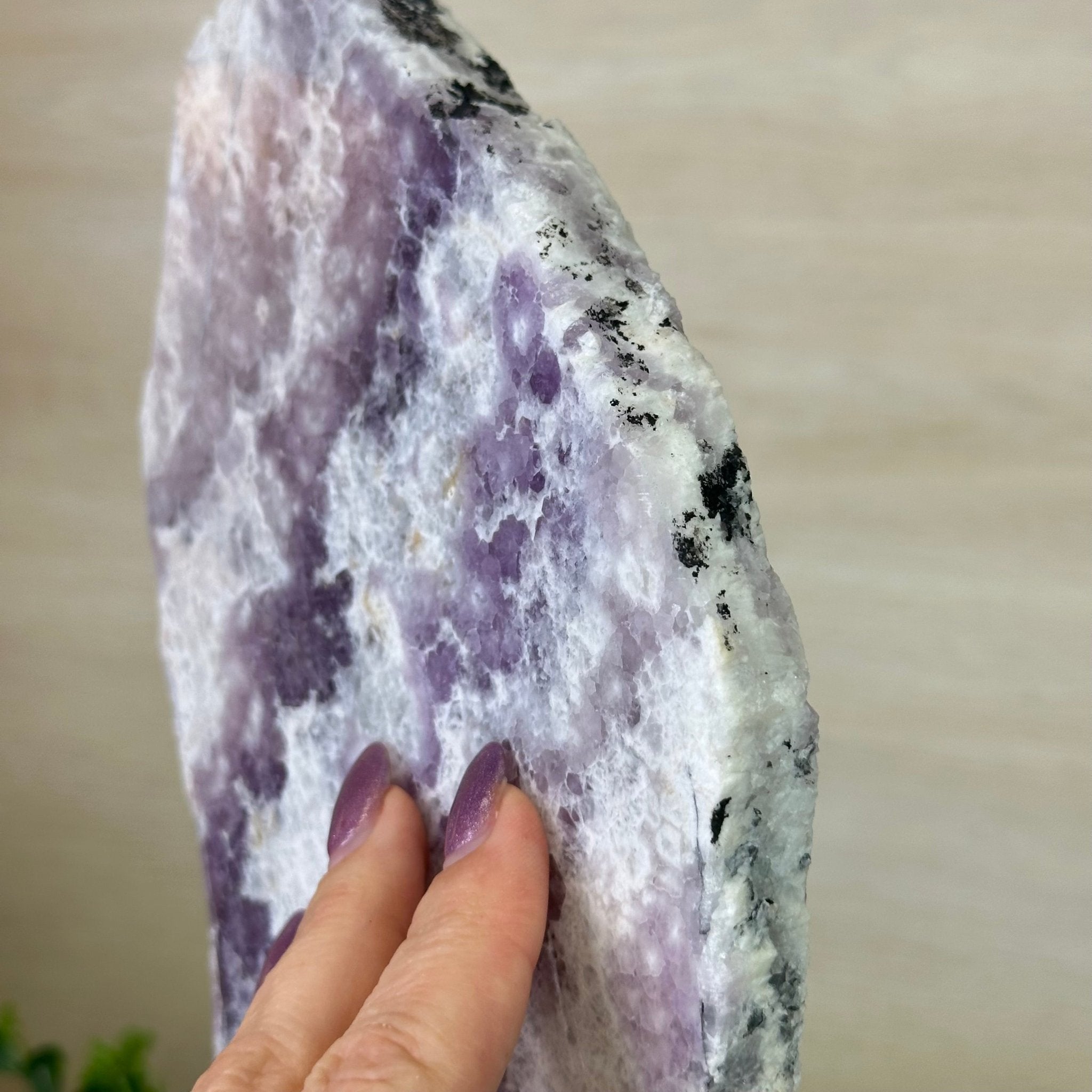 Chevron Amethyst Crystal Slice on a Stand, 4.3 lbs & 12.6" Tall #5621AC - 006 - Brazil GemsBrazil GemsChevron Amethyst Crystal Slice on a Stand, 4.3 lbs & 12.6" Tall #5621AC - 006Slices on Fixed Bases5621AC - 006