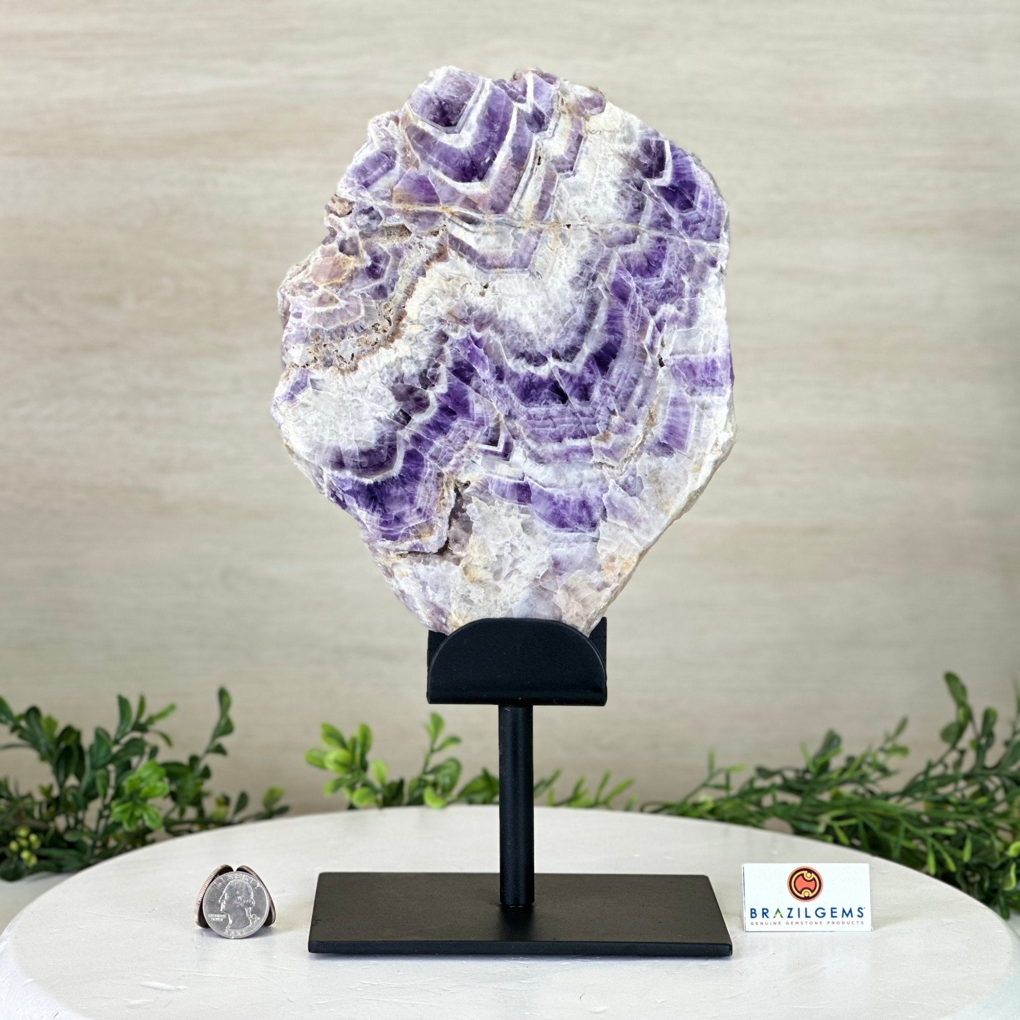 Chevron Amethyst Crystal Slice on a Stand, 4.3 lbs & 12.7" Tall #5621AC - 008 - Brazil GemsBrazil GemsChevron Amethyst Crystal Slice on a Stand, 4.3 lbs & 12.7" Tall #5621AC - 008Slices on Fixed Bases5621AC - 008