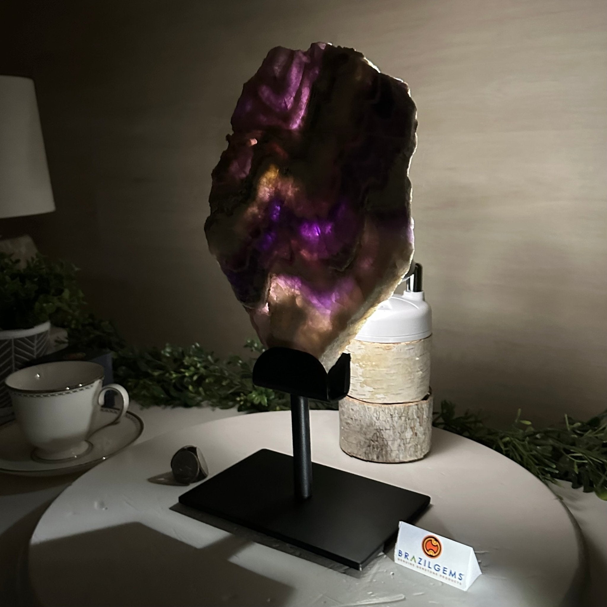 Chevron Amethyst Crystal Slice on a Stand, 4.3 lbs & 12.7" Tall #5621AC - 008 - Brazil GemsBrazil GemsChevron Amethyst Crystal Slice on a Stand, 4.3 lbs & 12.7" Tall #5621AC - 008Slices on Fixed Bases5621AC - 008