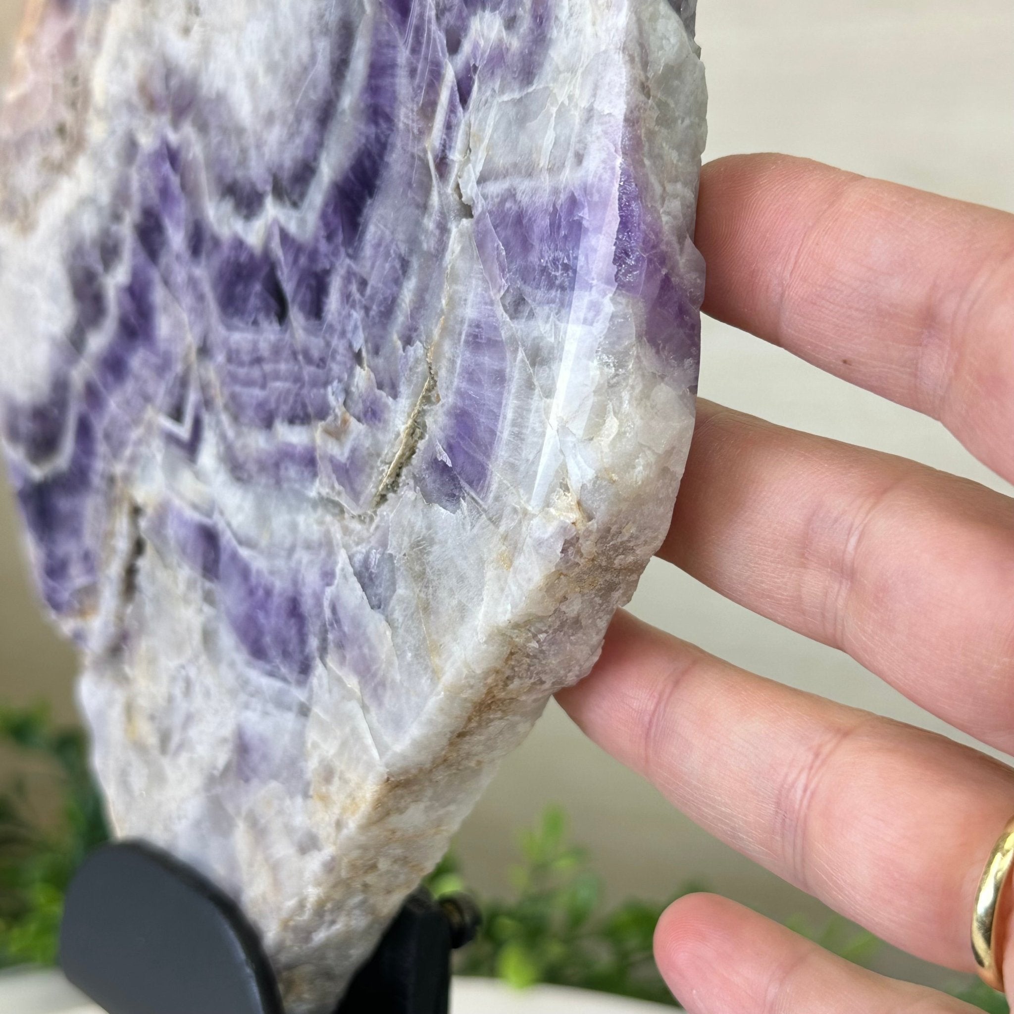 Chevron Amethyst Crystal Slice on a Stand, 4.3 lbs & 12.7" Tall #5621AC - 008 - Brazil GemsBrazil GemsChevron Amethyst Crystal Slice on a Stand, 4.3 lbs & 12.7" Tall #5621AC - 008Slices on Fixed Bases5621AC - 008