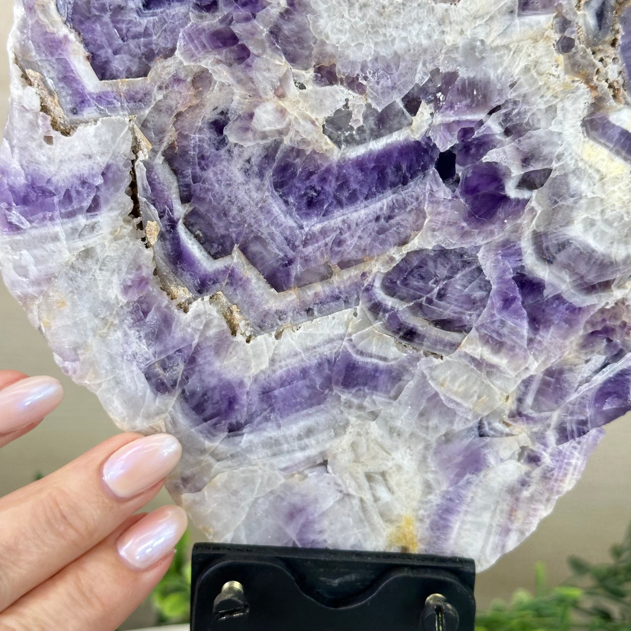 Chevron Amethyst Crystal Slice on a Stand, 4.3 lbs & 12.7" Tall #5621AC - 008 - Brazil GemsBrazil GemsChevron Amethyst Crystal Slice on a Stand, 4.3 lbs & 12.7" Tall #5621AC - 008Slices on Fixed Bases5621AC - 008