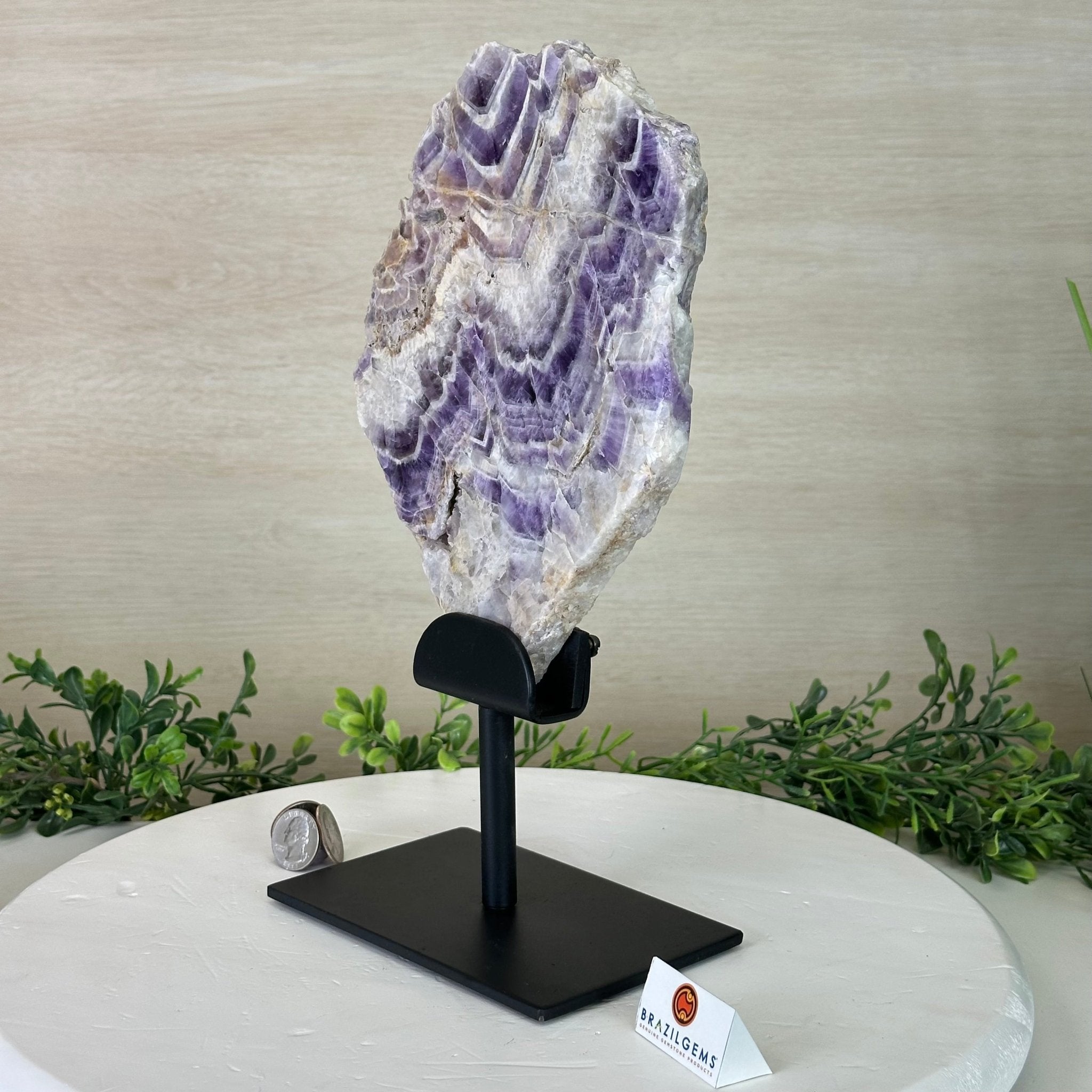 Chevron Amethyst Crystal Slice on a Stand, 4.3 lbs & 12.7" Tall #5621AC - 008 - Brazil GemsBrazil GemsChevron Amethyst Crystal Slice on a Stand, 4.3 lbs & 12.7" Tall #5621AC - 008Slices on Fixed Bases5621AC - 008