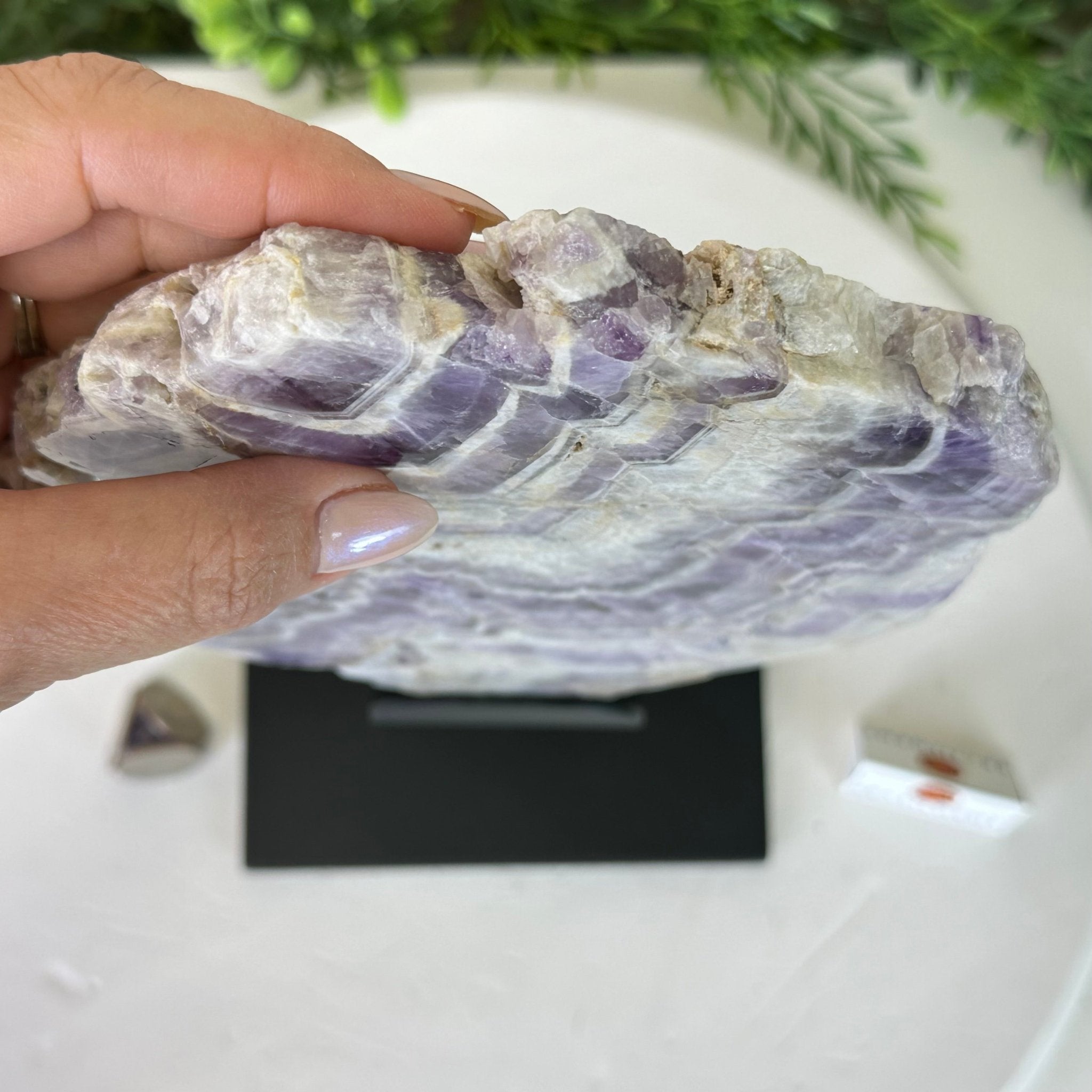 Chevron Amethyst Crystal Slice on a Stand, 4.3 lbs & 12.7" Tall #5621AC - 008 - Brazil GemsBrazil GemsChevron Amethyst Crystal Slice on a Stand, 4.3 lbs & 12.7" Tall #5621AC - 008Slices on Fixed Bases5621AC - 008