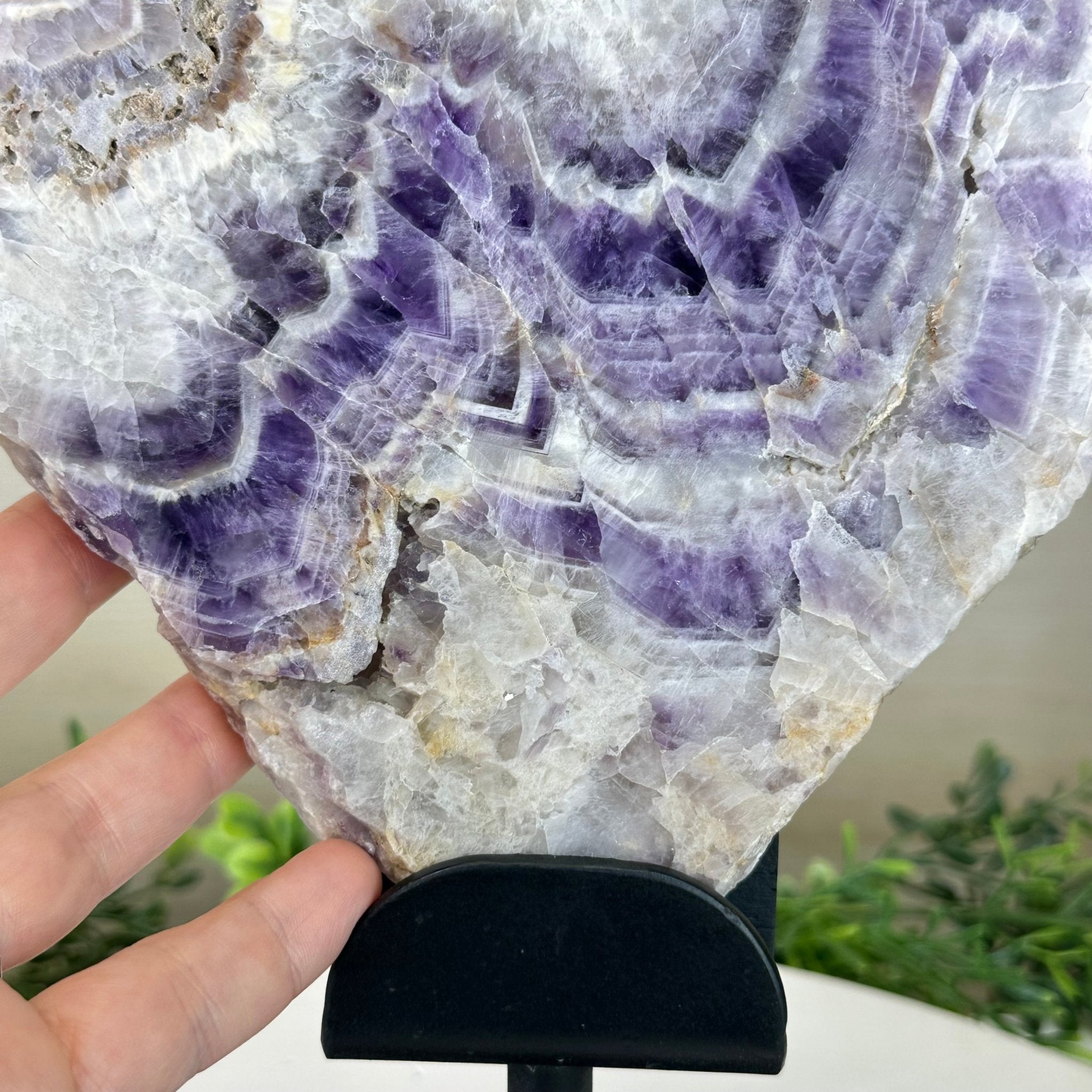 Chevron Amethyst Crystal Slice on a Stand, 4.3 lbs & 12.7" Tall #5621AC - 008 - Brazil GemsBrazil GemsChevron Amethyst Crystal Slice on a Stand, 4.3 lbs & 12.7" Tall #5621AC - 008Slices on Fixed Bases5621AC - 008