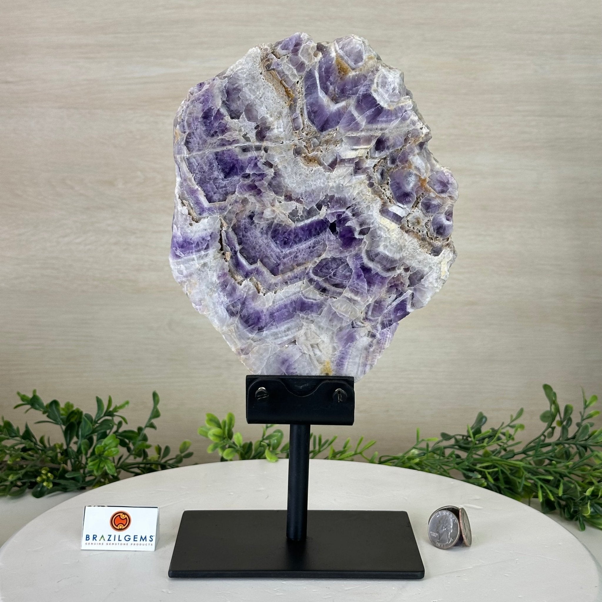 Chevron Amethyst Crystal Slice on a Stand, 4.3 lbs & 12.7" Tall #5621AC - 008 - Brazil GemsBrazil GemsChevron Amethyst Crystal Slice on a Stand, 4.3 lbs & 12.7" Tall #5621AC - 008Slices on Fixed Bases5621AC - 008