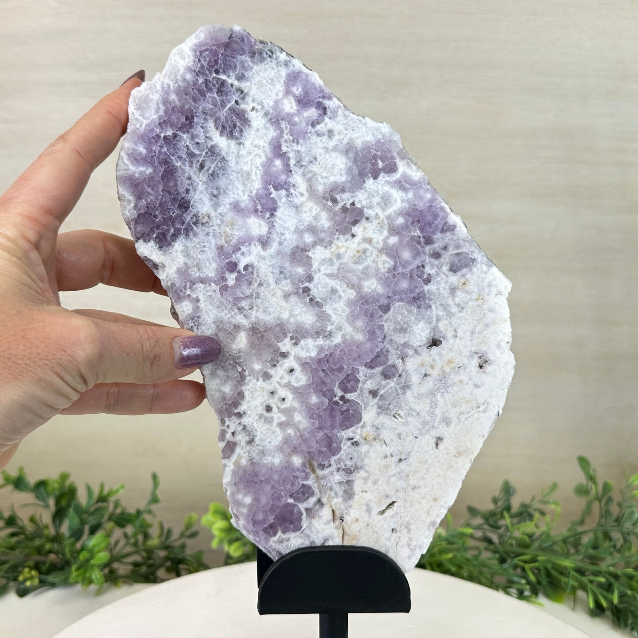 Chevron Amethyst Crystal Slice on a Stand, 4.3 lbs & 12.8" Tall #5621AC - 007 - Brazil GemsBrazil GemsChevron Amethyst Crystal Slice on a Stand, 4.3 lbs & 12.8" Tall #5621AC - 007Slices on Fixed Bases5621AC - 007