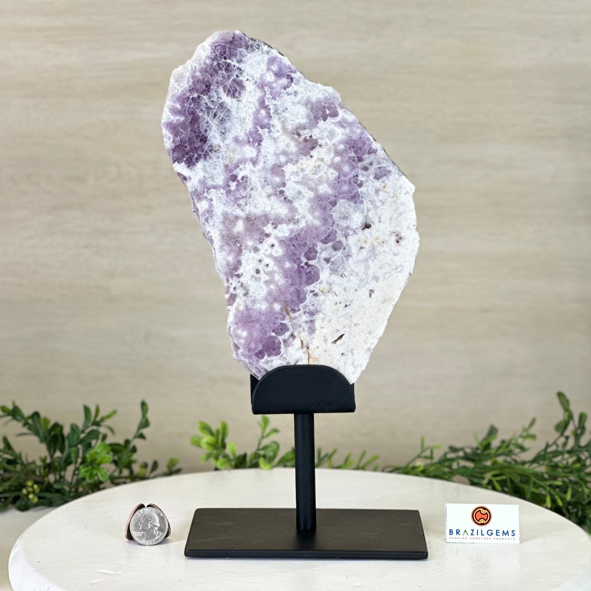 Chevron Amethyst Crystal Slice on a Stand, 4.3 lbs & 12.8" Tall #5621AC - 007 - Brazil GemsBrazil GemsChevron Amethyst Crystal Slice on a Stand, 4.3 lbs & 12.8" Tall #5621AC - 007Slices on Fixed Bases5621AC - 007