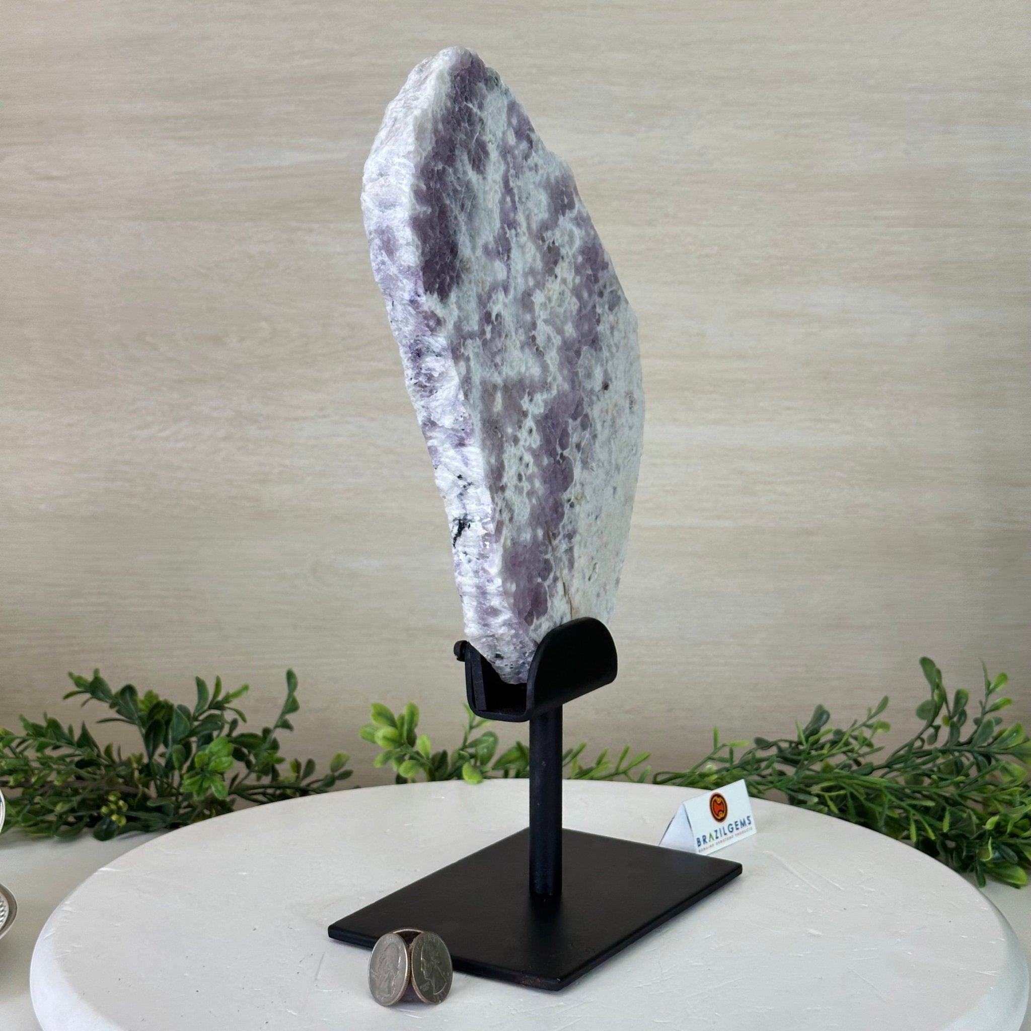 Chevron Amethyst Crystal Slice on a Stand, 4.3 lbs & 12.8" Tall #5621AC - 007 - Brazil GemsBrazil GemsChevron Amethyst Crystal Slice on a Stand, 4.3 lbs & 12.8" Tall #5621AC - 007Slices on Fixed Bases5621AC - 007