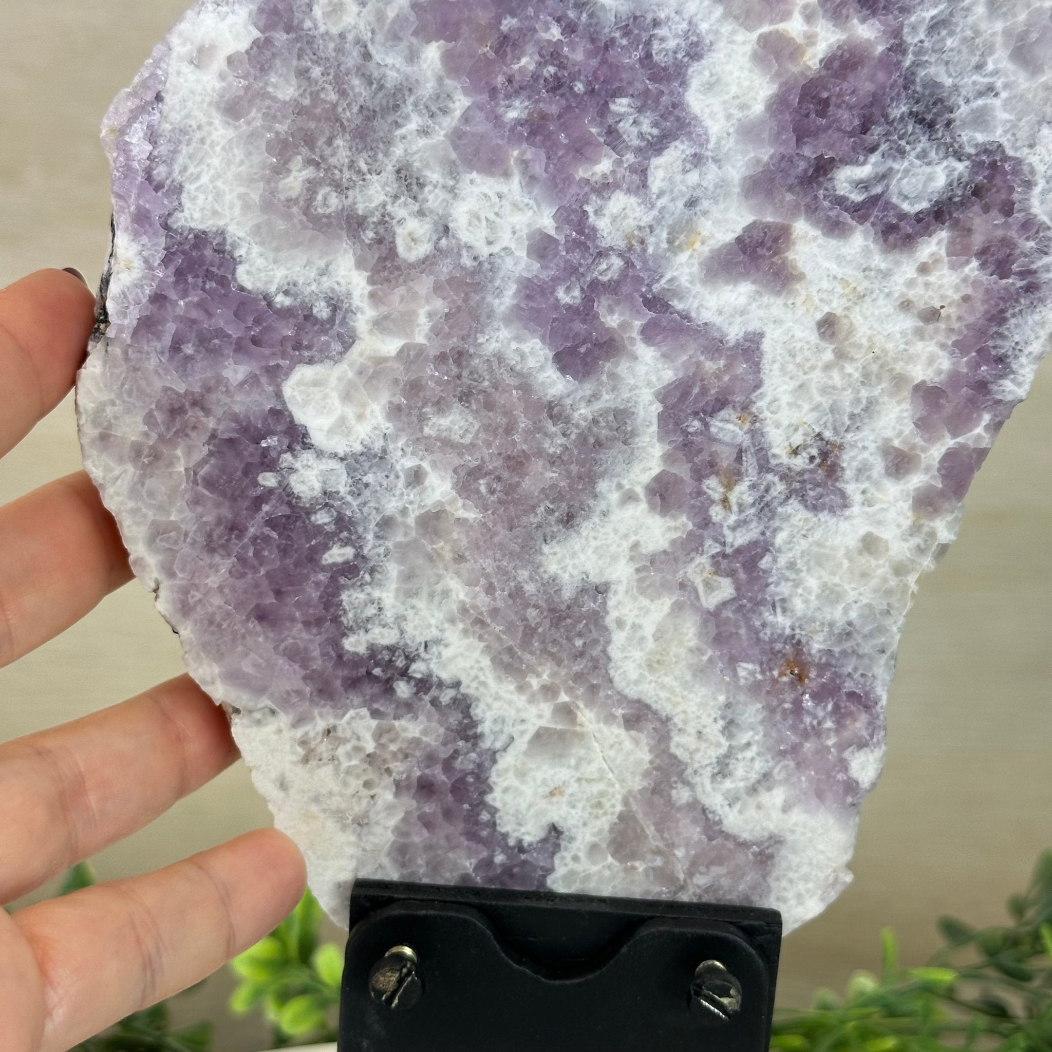 Chevron Amethyst Crystal Slice on a Stand, 4.3 lbs & 12.8" Tall #5621AC - 007 - Brazil GemsBrazil GemsChevron Amethyst Crystal Slice on a Stand, 4.3 lbs & 12.8" Tall #5621AC - 007Slices on Fixed Bases5621AC - 007