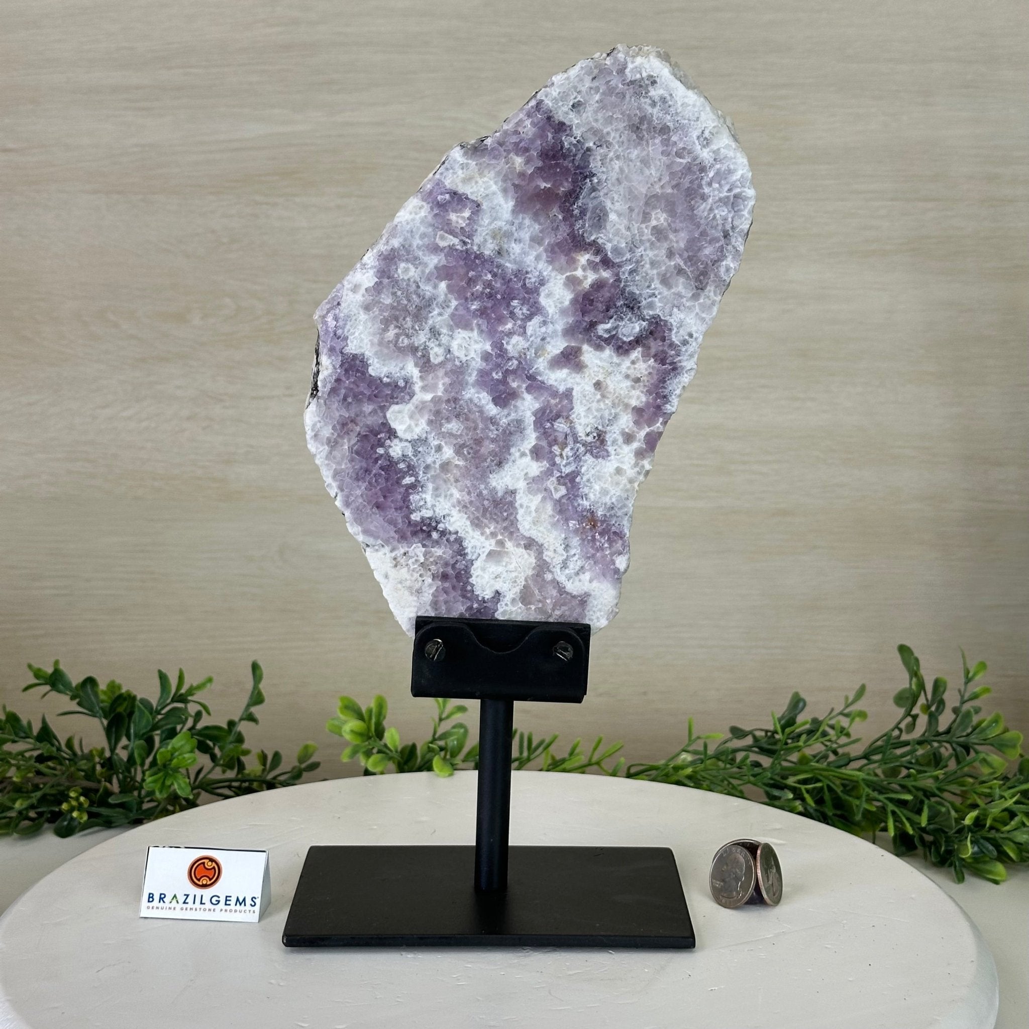 Chevron Amethyst Crystal Slice on a Stand, 4.3 lbs & 12.8" Tall #5621AC - 007 - Brazil GemsBrazil GemsChevron Amethyst Crystal Slice on a Stand, 4.3 lbs & 12.8" Tall #5621AC - 007Slices on Fixed Bases5621AC - 007