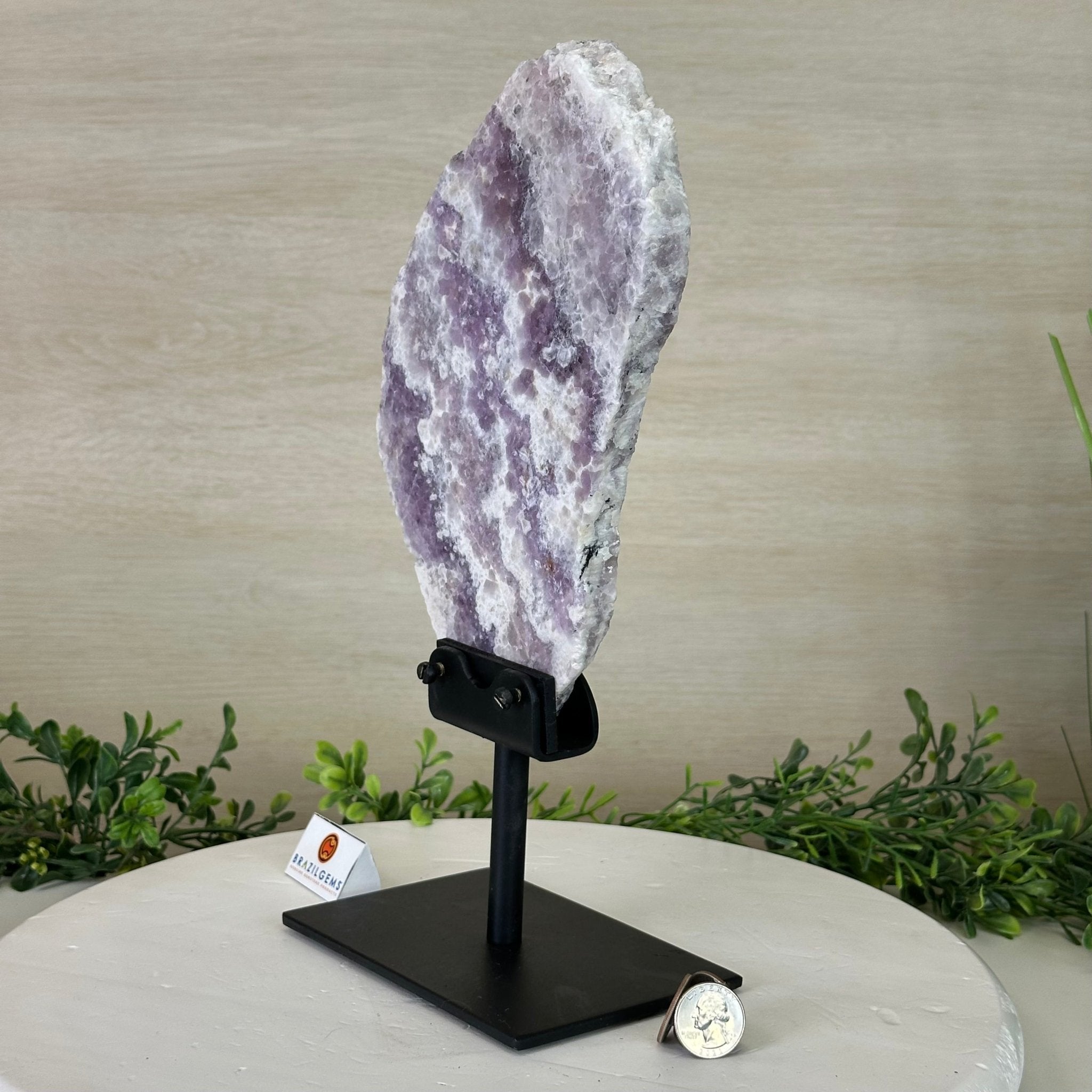 Chevron Amethyst Crystal Slice on a Stand, 4.3 lbs & 12.8" Tall #5621AC - 007 - Brazil GemsBrazil GemsChevron Amethyst Crystal Slice on a Stand, 4.3 lbs & 12.8" Tall #5621AC - 007Slices on Fixed Bases5621AC - 007