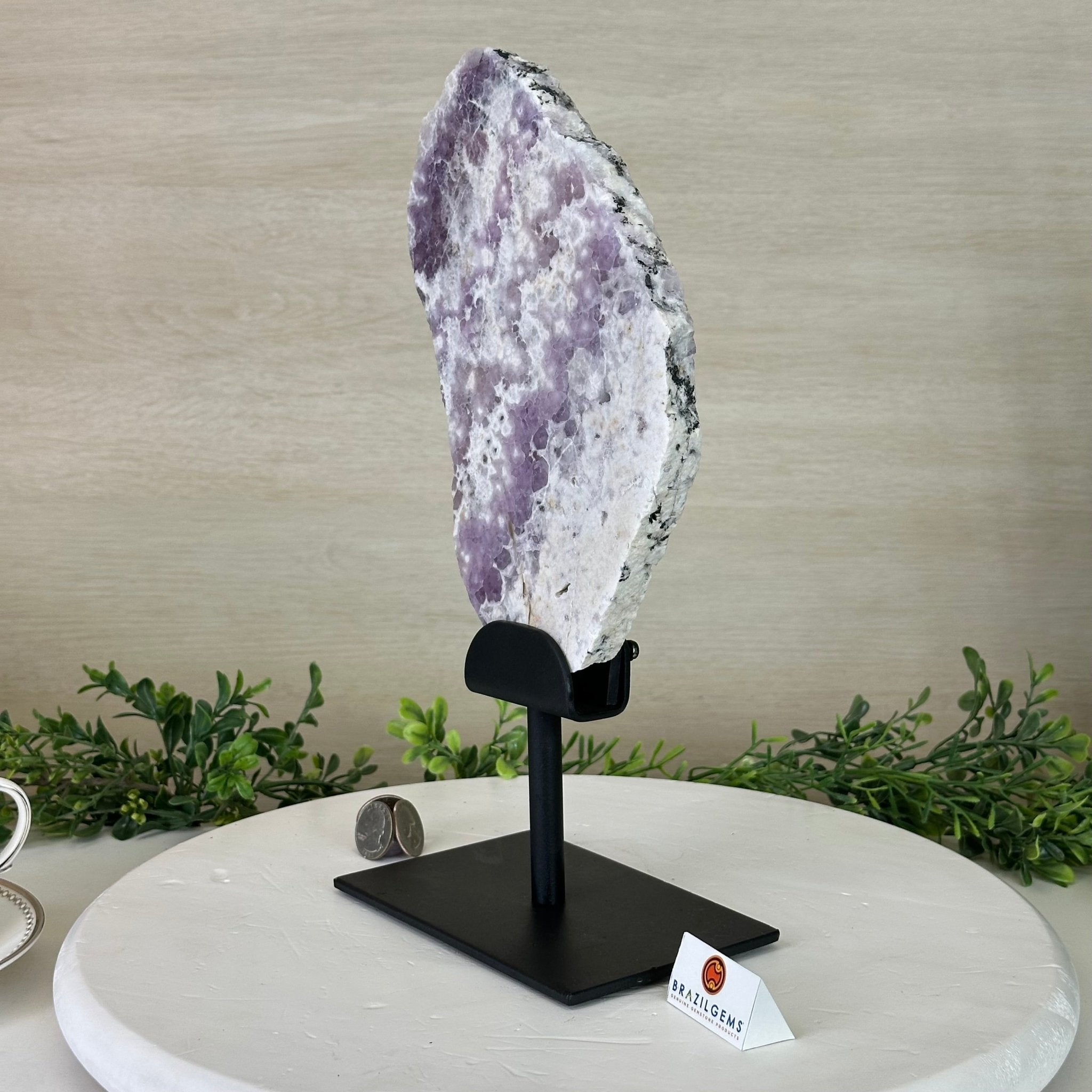 Chevron Amethyst Crystal Slice on a Stand, 4.3 lbs & 12.8" Tall #5621AC - 007 - Brazil GemsBrazil GemsChevron Amethyst Crystal Slice on a Stand, 4.3 lbs & 12.8" Tall #5621AC - 007Slices on Fixed Bases5621AC - 007