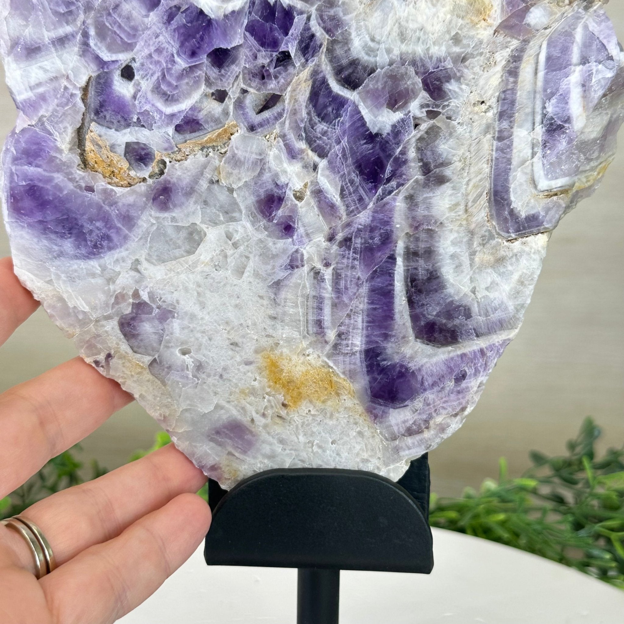 Chevron Amethyst Crystal Slice on a Stand, 4.3 lbs & 13.1" Tall #5621AC - 009 - Brazil GemsBrazil GemsChevron Amethyst Crystal Slice on a Stand, 4.3 lbs & 13.1" Tall #5621AC - 009Slices on Fixed Bases5621AC - 009