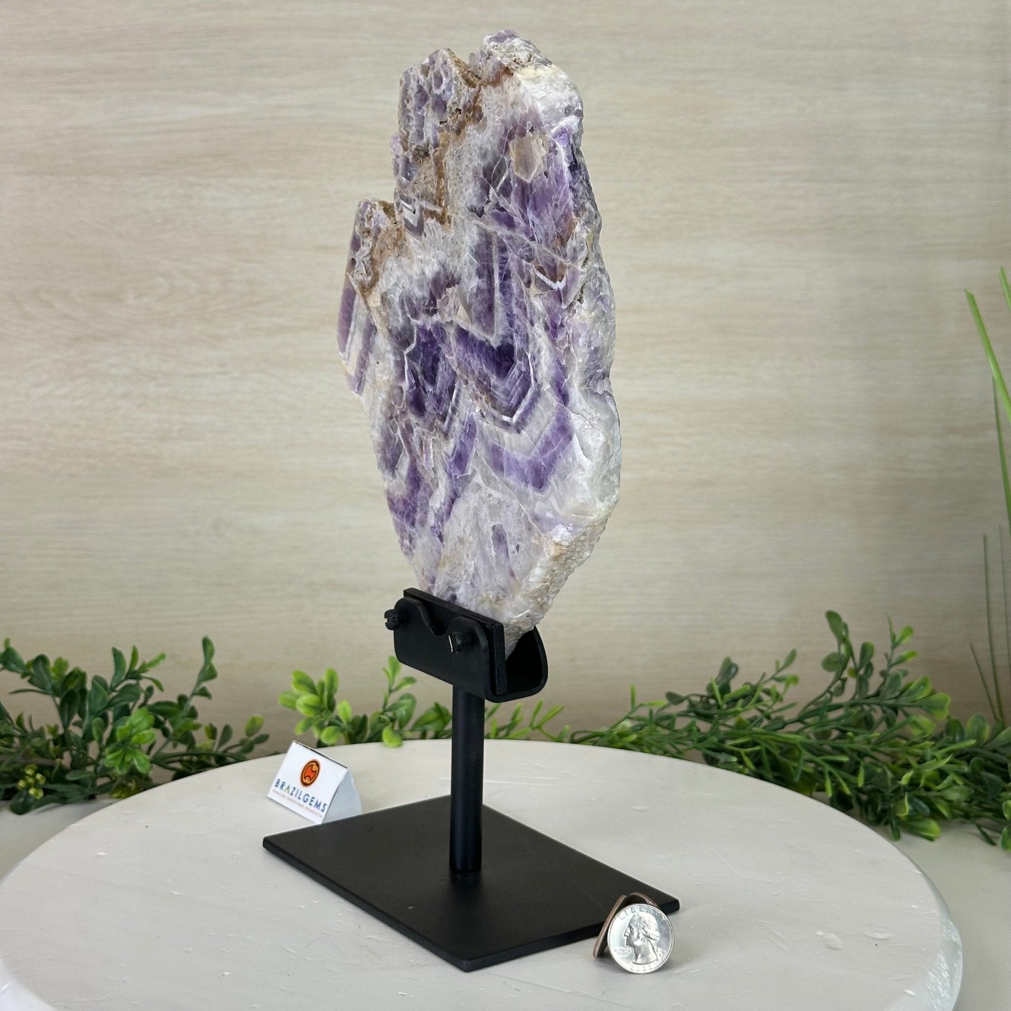 Chevron Amethyst Crystal Slice on a Stand, 4.3 lbs & 13.1" Tall #5621AC - 009 - Brazil GemsBrazil GemsChevron Amethyst Crystal Slice on a Stand, 4.3 lbs & 13.1" Tall #5621AC - 009Slices on Fixed Bases5621AC - 009