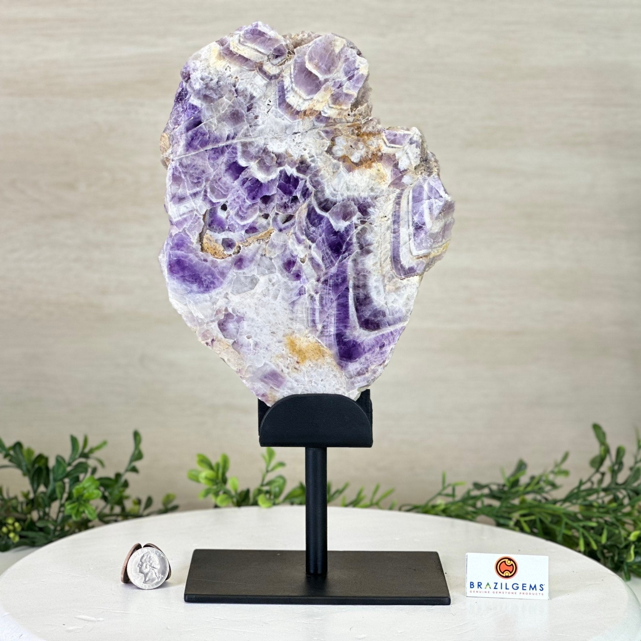 Chevron Amethyst Crystal Slice on a Stand, 4.3 lbs & 13.1" Tall #5621AC - 009 - Brazil GemsBrazil GemsChevron Amethyst Crystal Slice on a Stand, 4.3 lbs & 13.1" Tall #5621AC - 009Slices on Fixed Bases5621AC - 009