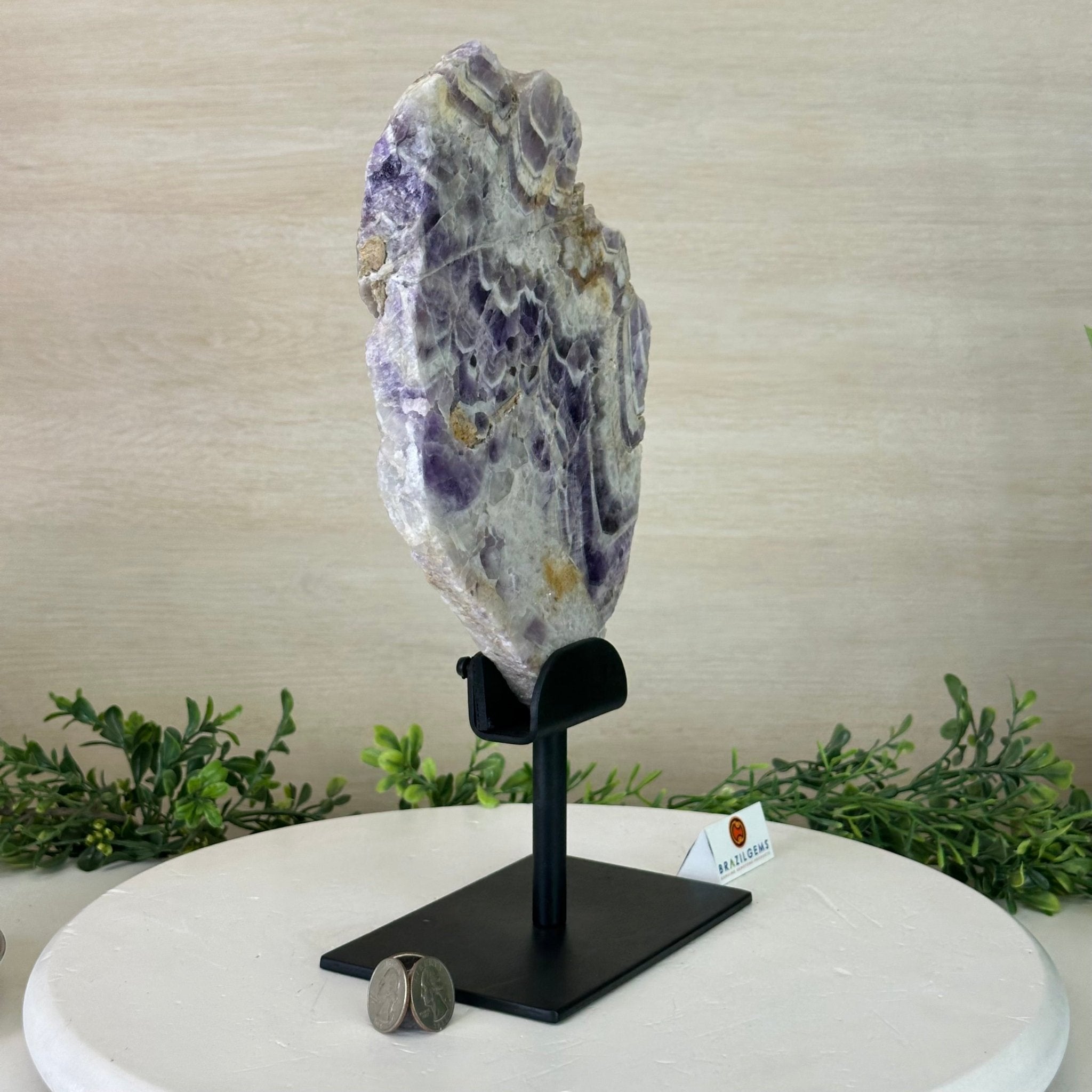 Chevron Amethyst Crystal Slice on a Stand, 4.3 lbs & 13.1" Tall #5621AC - 009 - Brazil GemsBrazil GemsChevron Amethyst Crystal Slice on a Stand, 4.3 lbs & 13.1" Tall #5621AC - 009Slices on Fixed Bases5621AC - 009