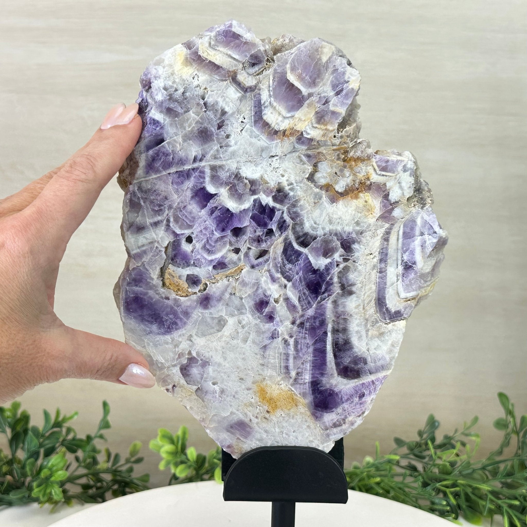 Chevron Amethyst Crystal Slice on a Stand, 4.3 lbs & 13.1" Tall #5621AC - 009 - Brazil GemsBrazil GemsChevron Amethyst Crystal Slice on a Stand, 4.3 lbs & 13.1" Tall #5621AC - 009Slices on Fixed Bases5621AC - 009