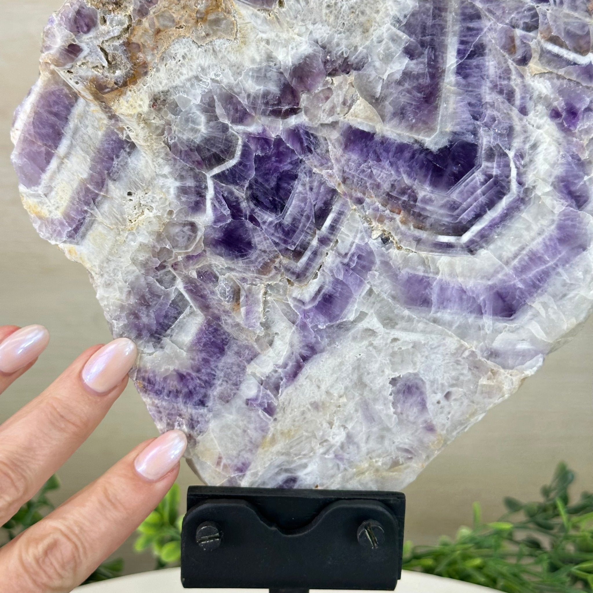 Chevron Amethyst Crystal Slice on a Stand, 4.3 lbs & 13.1" Tall #5621AC - 009 - Brazil GemsBrazil GemsChevron Amethyst Crystal Slice on a Stand, 4.3 lbs & 13.1" Tall #5621AC - 009Slices on Fixed Bases5621AC - 009