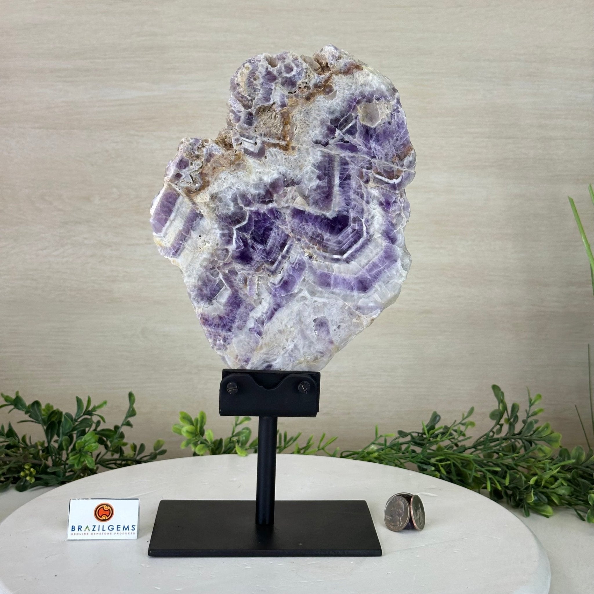 Chevron Amethyst Crystal Slice on a Stand, 4.3 lbs & 13.1" Tall #5621AC - 009 - Brazil GemsBrazil GemsChevron Amethyst Crystal Slice on a Stand, 4.3 lbs & 13.1" Tall #5621AC - 009Slices on Fixed Bases5621AC - 009