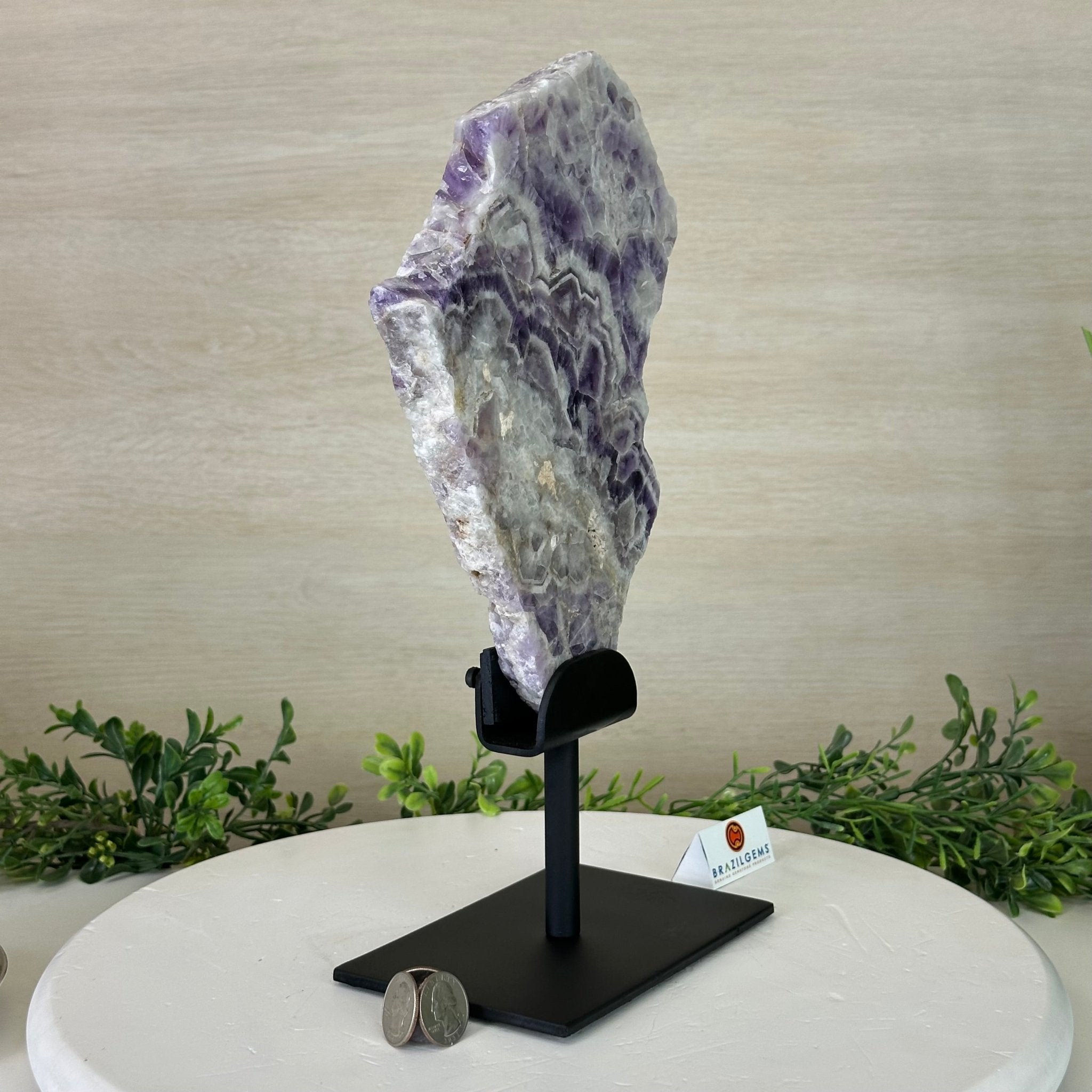 Chevron Amethyst Crystal Slice on a Stand, 4.3 lbs & 13.1" Tall #5621AC - 010 - Brazil GemsBrazil GemsChevron Amethyst Crystal Slice on a Stand, 4.3 lbs & 13.1" Tall #5621AC - 010Slices on Fixed Bases5621AC - 010