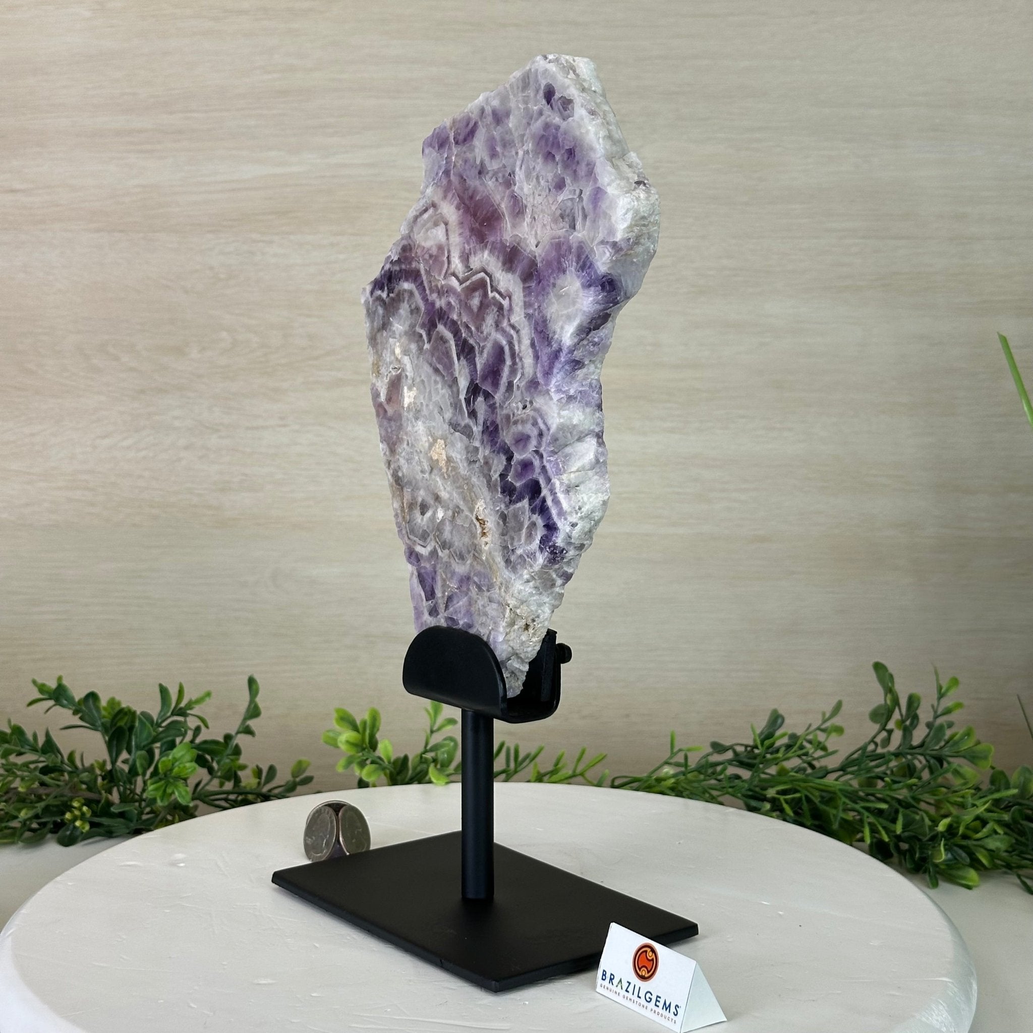 Chevron Amethyst Crystal Slice on a Stand, 4.3 lbs & 13.1" Tall #5621AC - 010 - Brazil GemsBrazil GemsChevron Amethyst Crystal Slice on a Stand, 4.3 lbs & 13.1" Tall #5621AC - 010Slices on Fixed Bases5621AC - 010