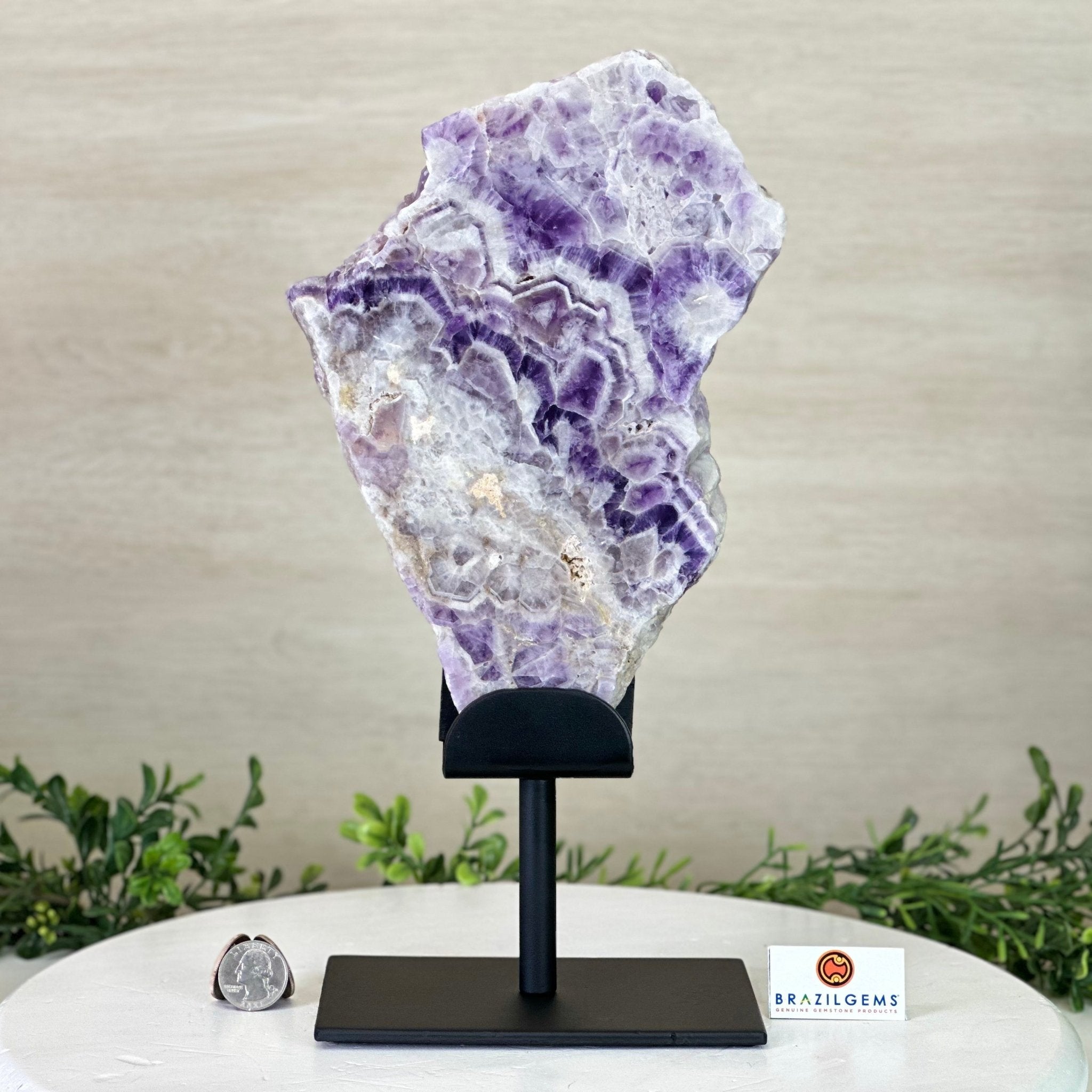 Chevron Amethyst Crystal Slice on a Stand, 4.3 lbs & 13.1" Tall #5621AC - 010 - Brazil GemsBrazil GemsChevron Amethyst Crystal Slice on a Stand, 4.3 lbs & 13.1" Tall #5621AC - 010Slices on Fixed Bases5621AC - 010