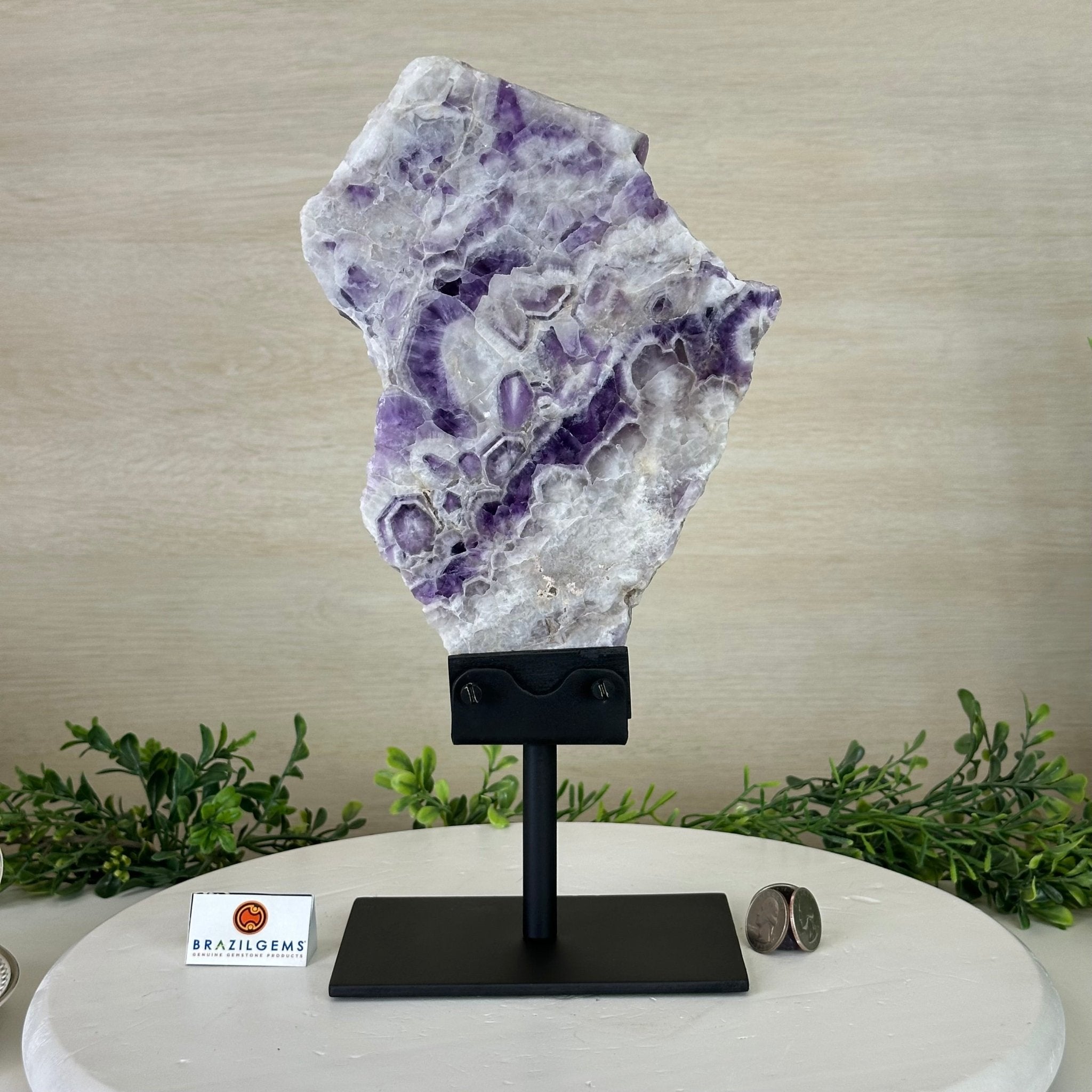 Chevron Amethyst Crystal Slice on a Stand, 4.3 lbs & 13.1" Tall #5621AC - 010 - Brazil GemsBrazil GemsChevron Amethyst Crystal Slice on a Stand, 4.3 lbs & 13.1" Tall #5621AC - 010Slices on Fixed Bases5621AC - 010