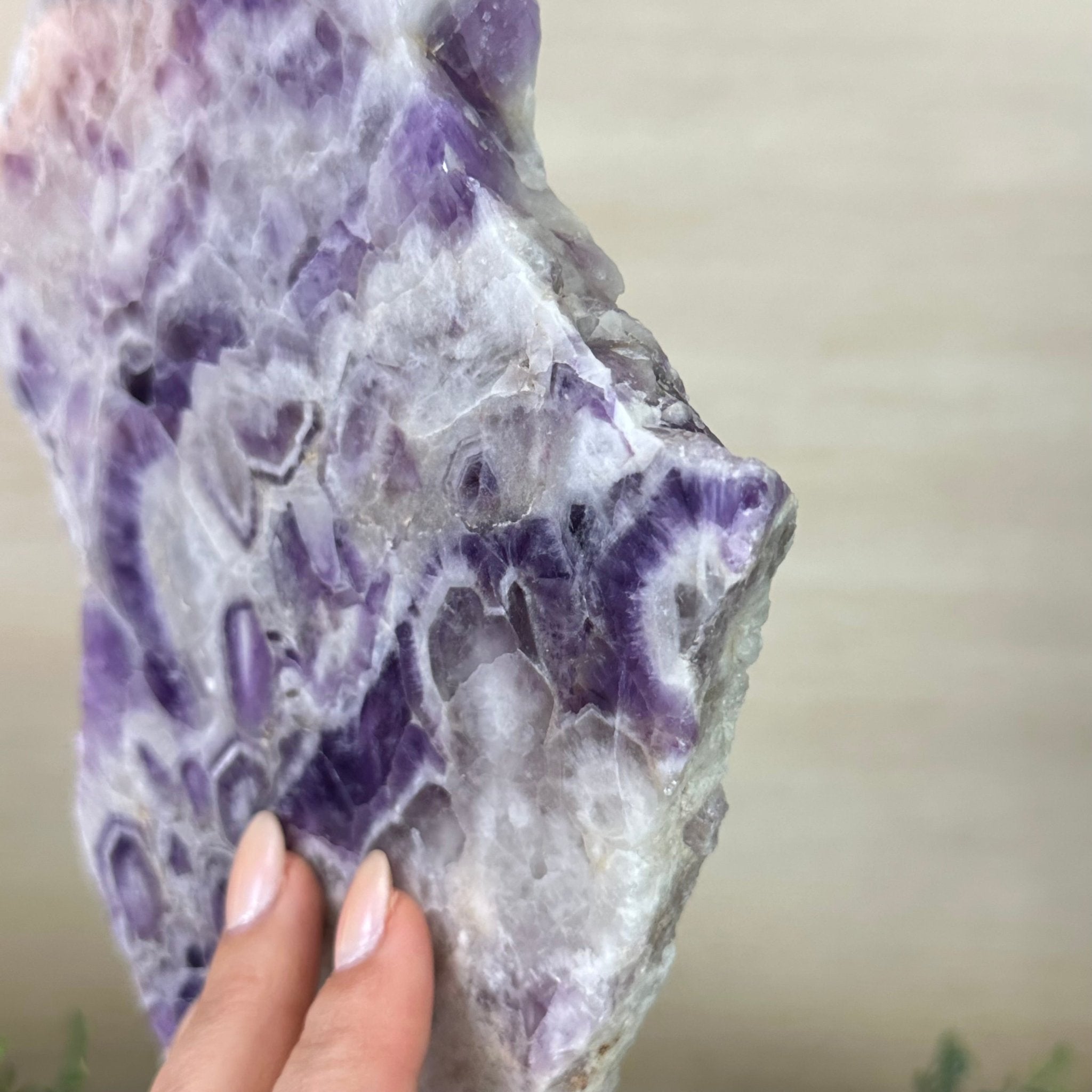 Chevron Amethyst Crystal Slice on a Stand, 4.3 lbs & 13.1" Tall #5621AC - 010 - Brazil GemsBrazil GemsChevron Amethyst Crystal Slice on a Stand, 4.3 lbs & 13.1" Tall #5621AC - 010Slices on Fixed Bases5621AC - 010