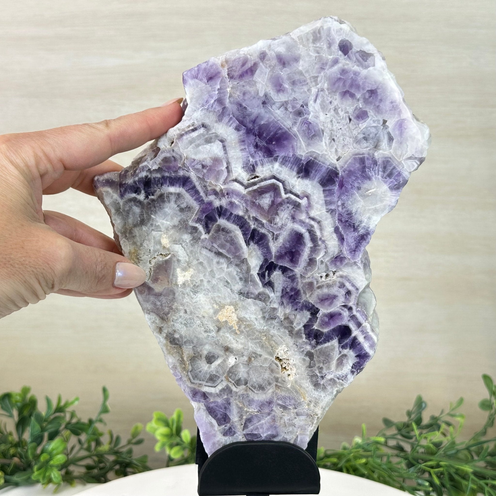 Chevron Amethyst Crystal Slice on a Stand, 4.3 lbs & 13.1" Tall #5621AC - 010 - Brazil GemsBrazil GemsChevron Amethyst Crystal Slice on a Stand, 4.3 lbs & 13.1" Tall #5621AC - 010Slices on Fixed Bases5621AC - 010