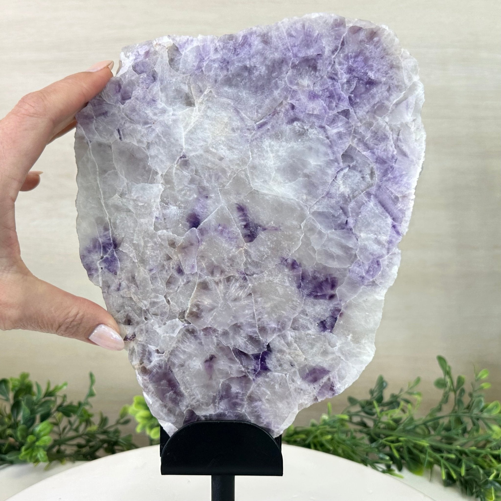 Chevron Amethyst Crystal Slice on a Stand, 4.6 lbs & 12.7" Tall #5621AC - 011 - Brazil GemsBrazil GemsChevron Amethyst Crystal Slice on a Stand, 4.6 lbs & 12.7" Tall #5621AC - 011Slices on Fixed Bases5621AC - 011