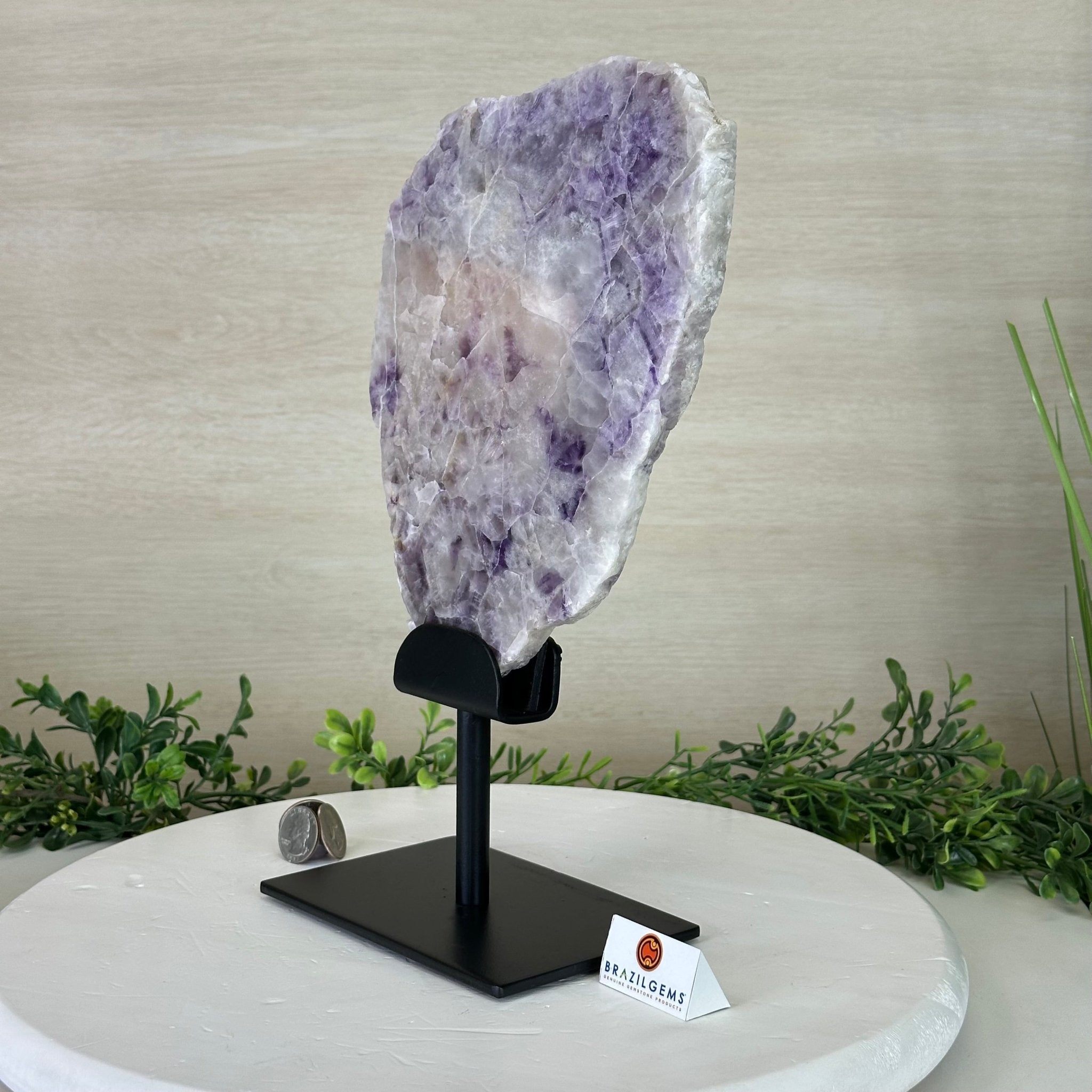 Chevron Amethyst Crystal Slice on a Stand, 4.6 lbs & 12.7" Tall #5621AC - 011 - Brazil GemsBrazil GemsChevron Amethyst Crystal Slice on a Stand, 4.6 lbs & 12.7" Tall #5621AC - 011Slices on Fixed Bases5621AC - 011