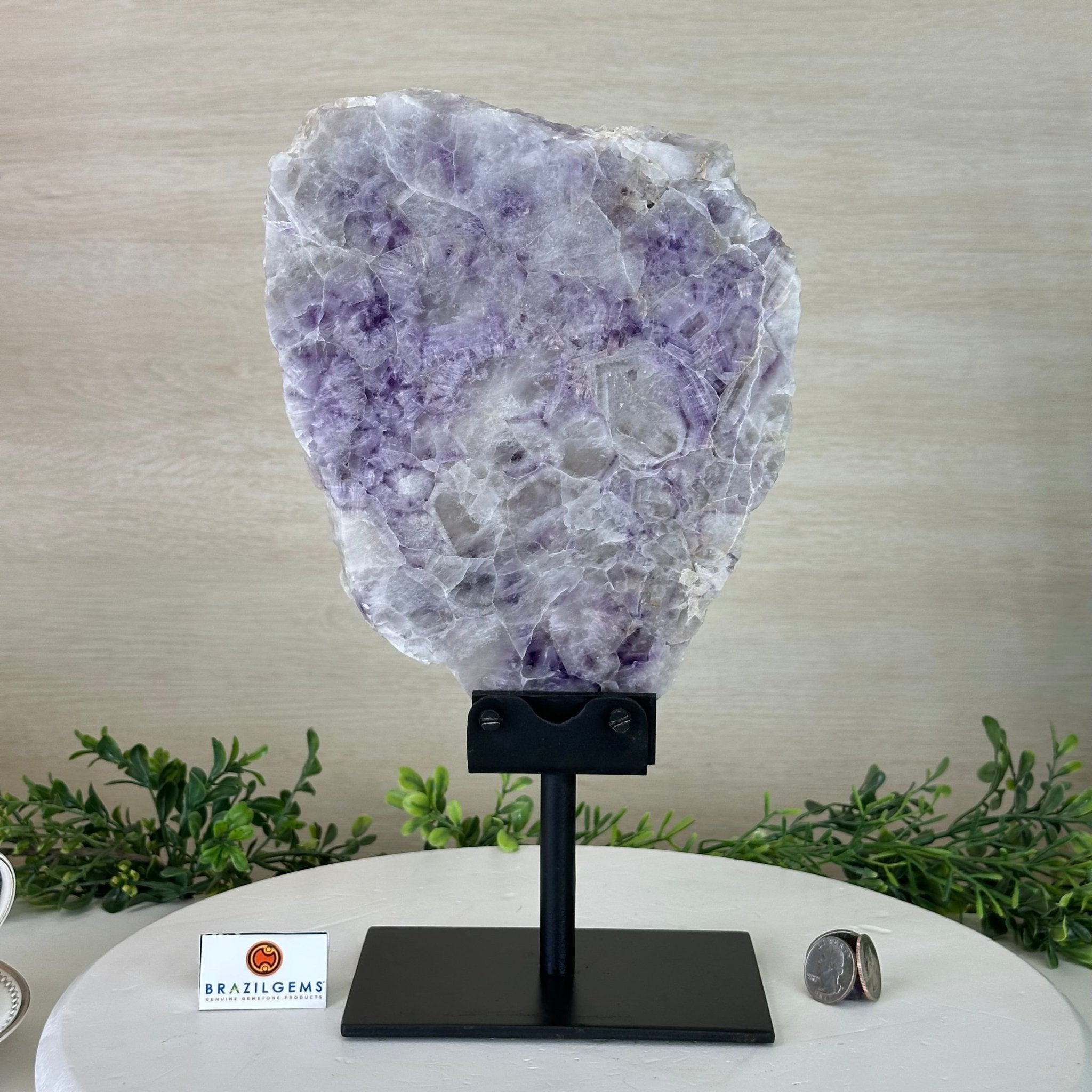 Chevron Amethyst Crystal Slice on a Stand, 4.6 lbs & 12.7" Tall #5621AC - 011 - Brazil GemsBrazil GemsChevron Amethyst Crystal Slice on a Stand, 4.6 lbs & 12.7" Tall #5621AC - 011Slices on Fixed Bases5621AC - 011