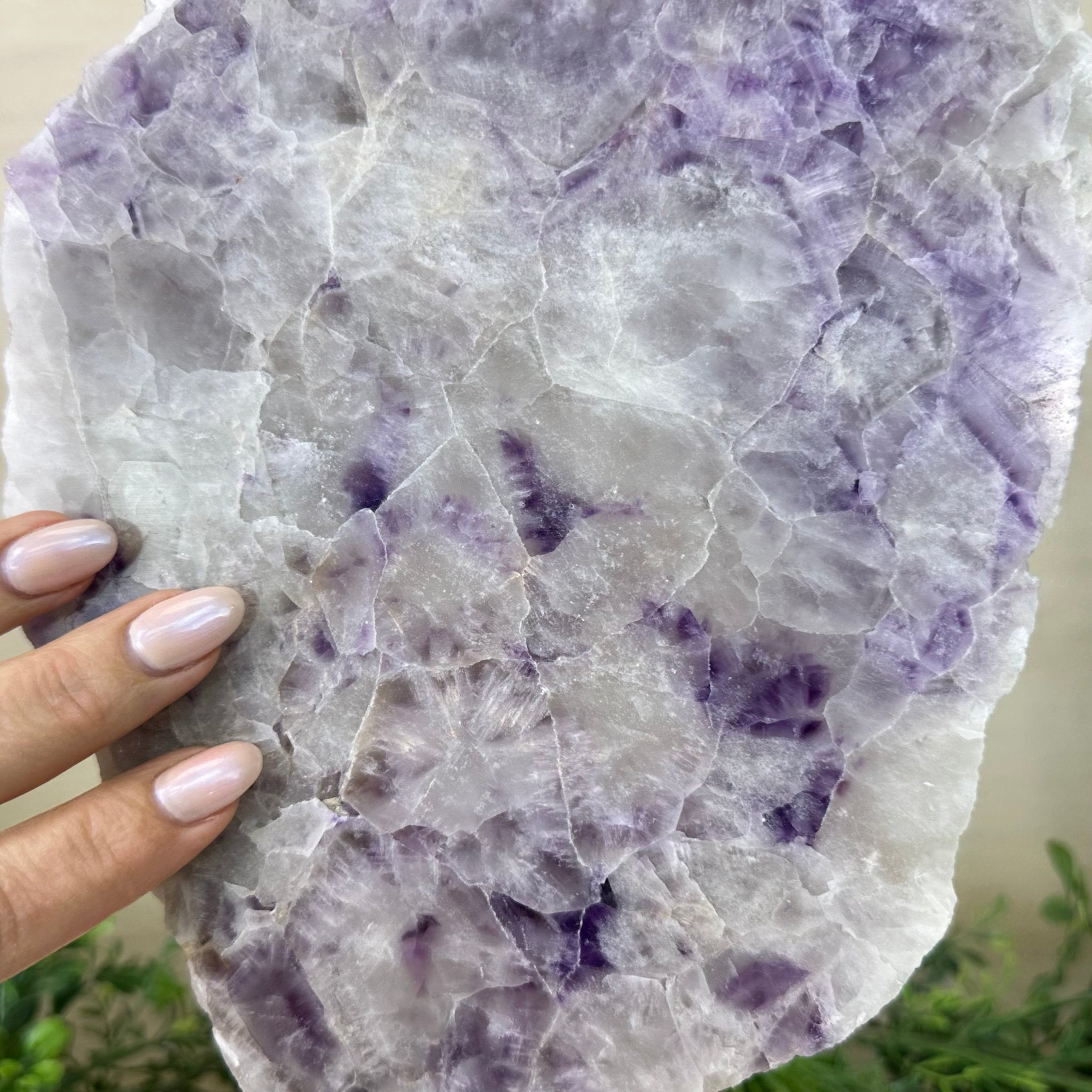 Chevron Amethyst Crystal Slice on a Stand, 4.6 lbs & 12.7" Tall #5621AC - 011 - Brazil GemsBrazil GemsChevron Amethyst Crystal Slice on a Stand, 4.6 lbs & 12.7" Tall #5621AC - 011Slices on Fixed Bases5621AC - 011