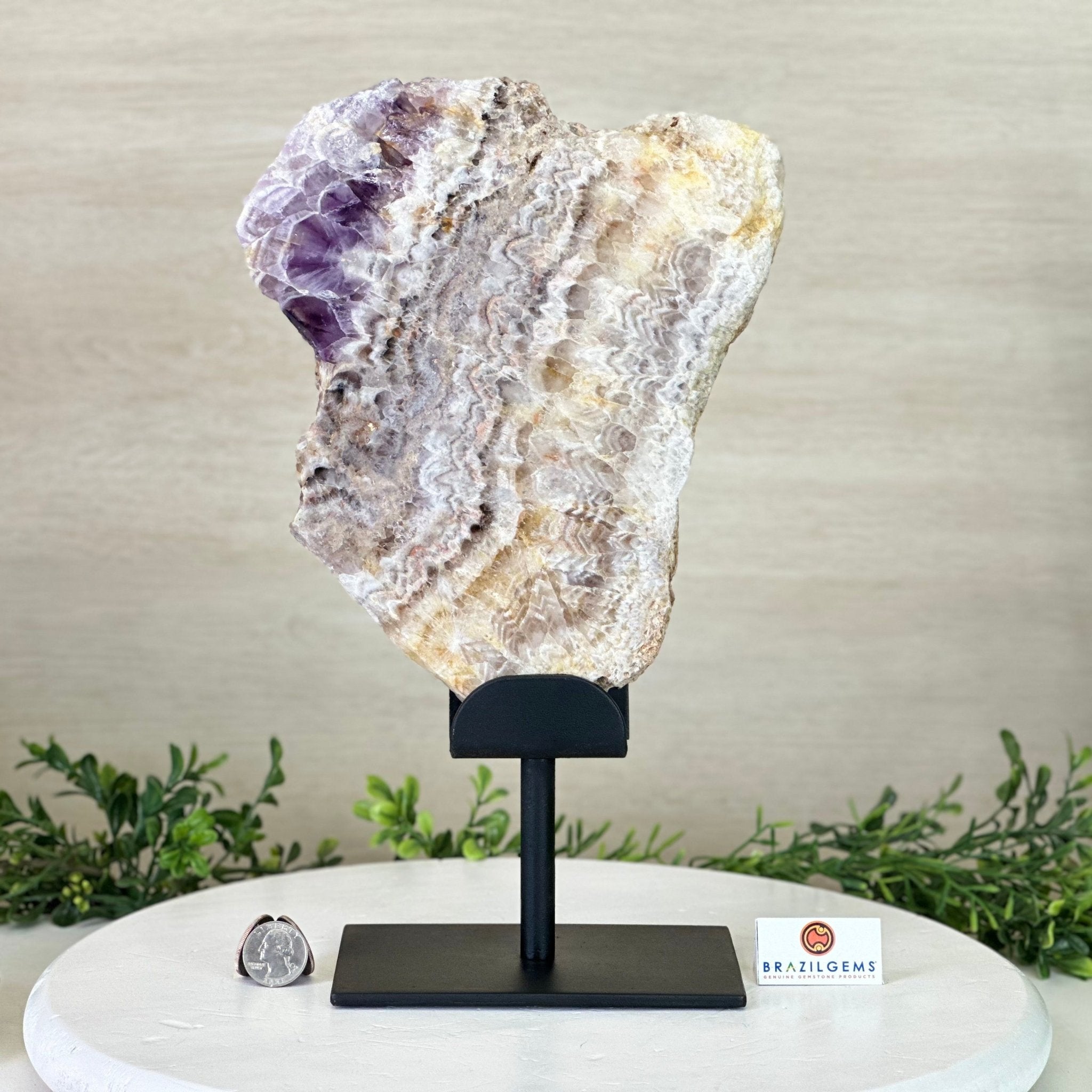 Chevron Amethyst Crystal Slice on a Stand, 4.7 lbs & 13.2" Tall #5621AC - 013 - Brazil GemsBrazil GemsChevron Amethyst Crystal Slice on a Stand, 4.7 lbs & 13.2" Tall #5621AC - 013Slices on Fixed Bases5621AC - 013