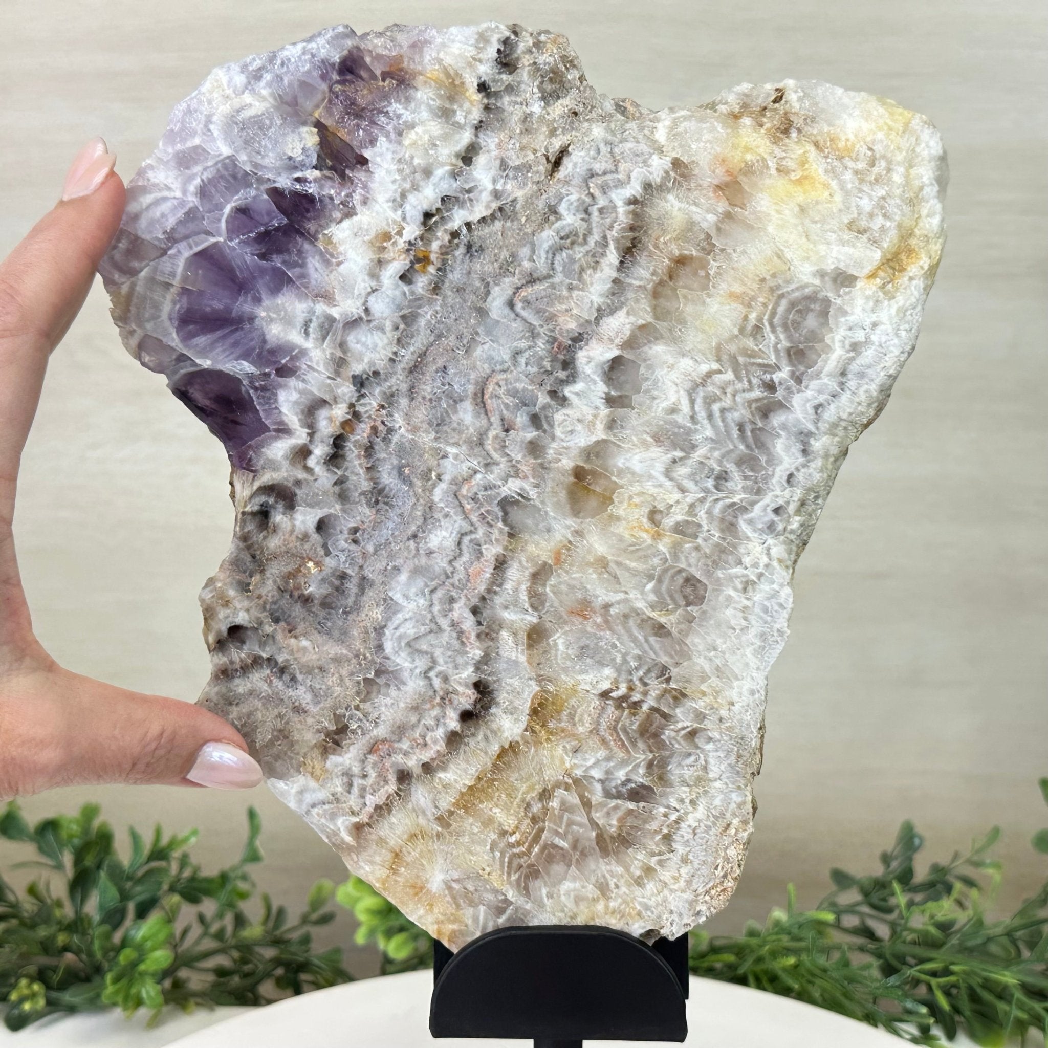 Chevron Amethyst Crystal Slice on a Stand, 4.7 lbs & 13.2" Tall #5621AC - 013 - Brazil GemsBrazil GemsChevron Amethyst Crystal Slice on a Stand, 4.7 lbs & 13.2" Tall #5621AC - 013Slices on Fixed Bases5621AC - 013