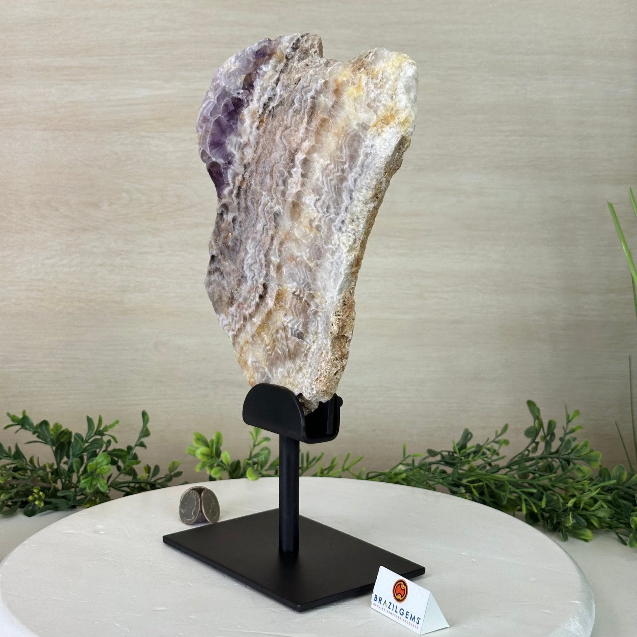 Chevron Amethyst Crystal Slice on a Stand, 4.7 lbs & 13.2" Tall #5621AC - 013 - Brazil GemsBrazil GemsChevron Amethyst Crystal Slice on a Stand, 4.7 lbs & 13.2" Tall #5621AC - 013Slices on Fixed Bases5621AC - 013