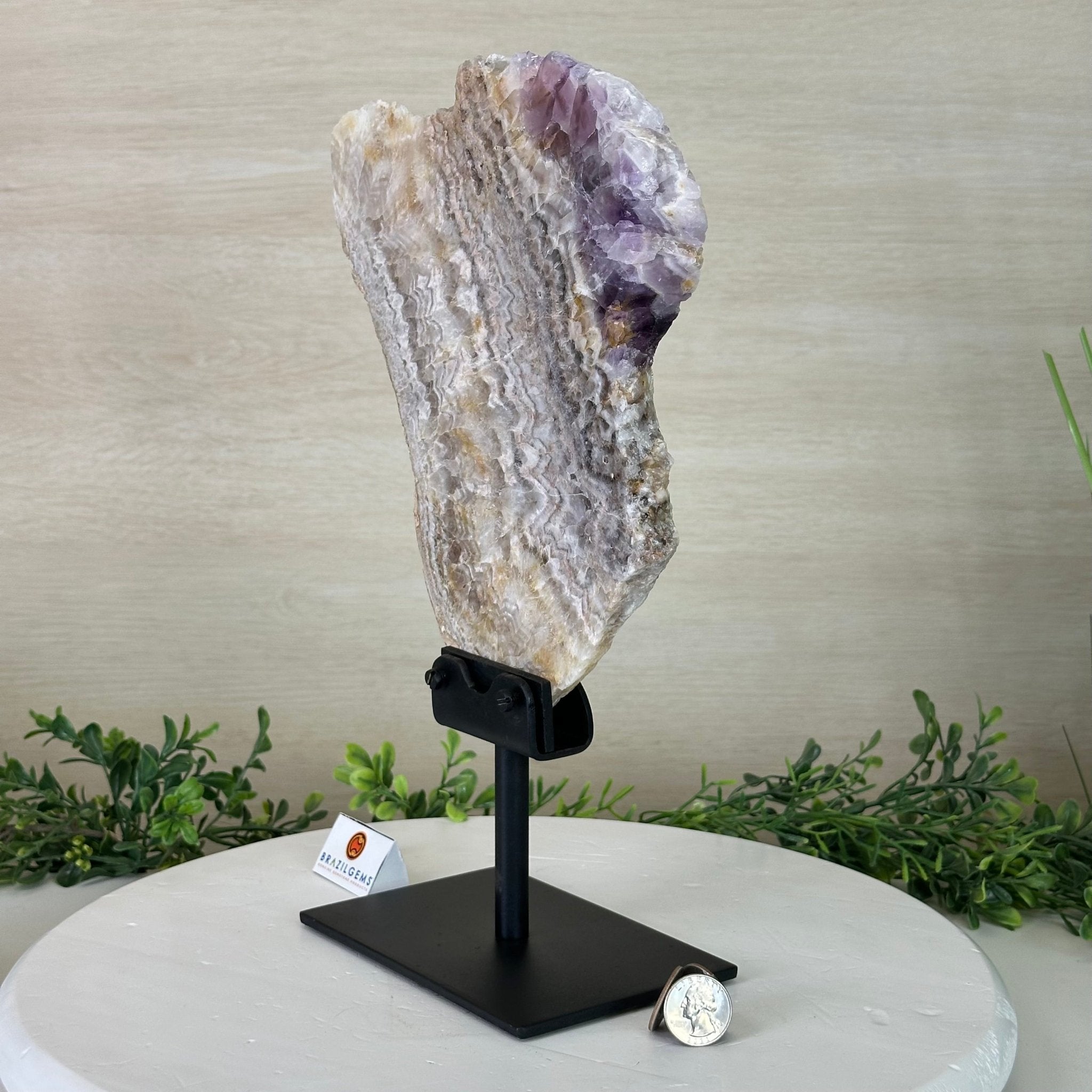 Chevron Amethyst Crystal Slice on a Stand, 4.7 lbs & 13.2" Tall #5621AC - 013 - Brazil GemsBrazil GemsChevron Amethyst Crystal Slice on a Stand, 4.7 lbs & 13.2" Tall #5621AC - 013Slices on Fixed Bases5621AC - 013