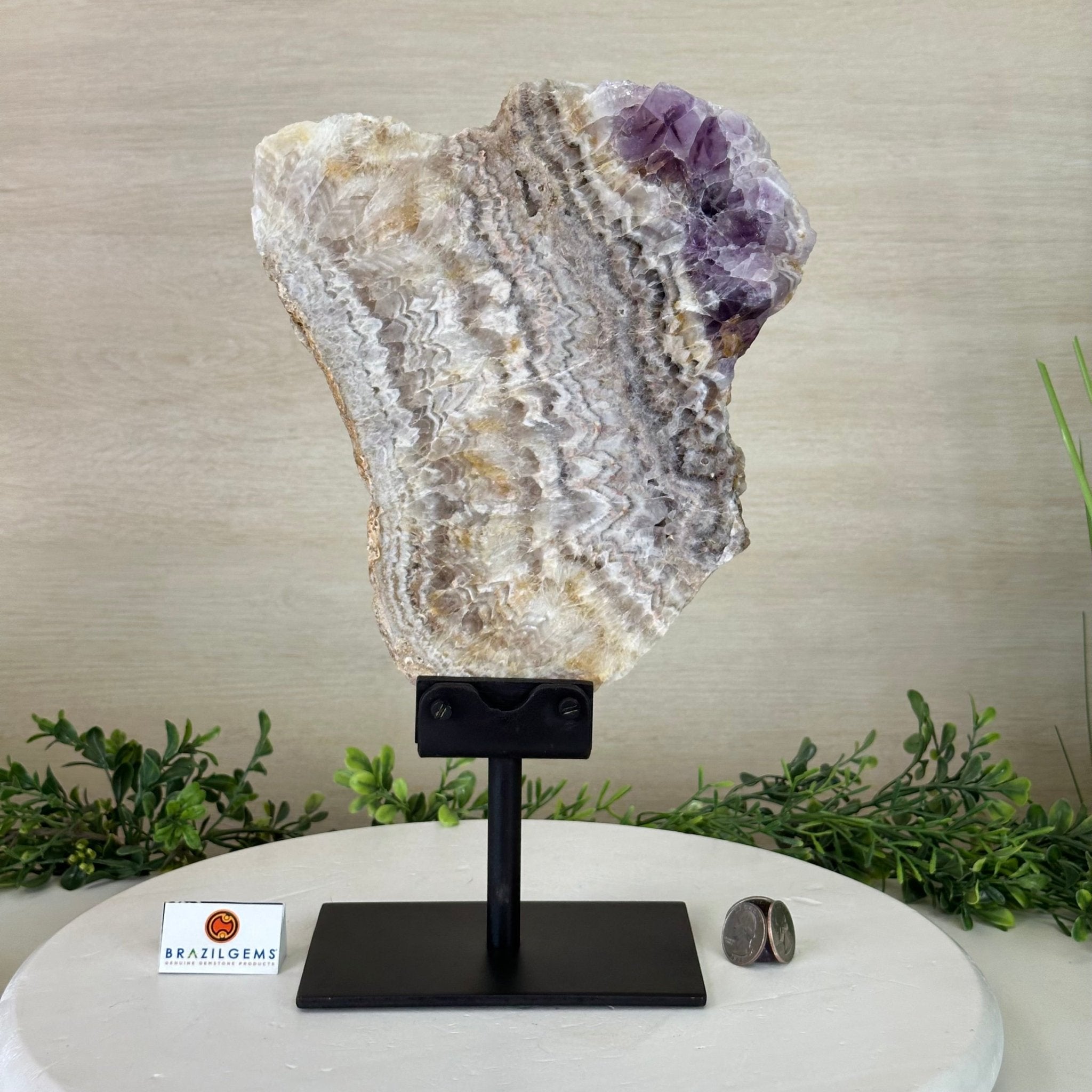 Chevron Amethyst Crystal Slice on a Stand, 4.7 lbs & 13.2" Tall #5621AC - 013 - Brazil GemsBrazil GemsChevron Amethyst Crystal Slice on a Stand, 4.7 lbs & 13.2" Tall #5621AC - 013Slices on Fixed Bases5621AC - 013