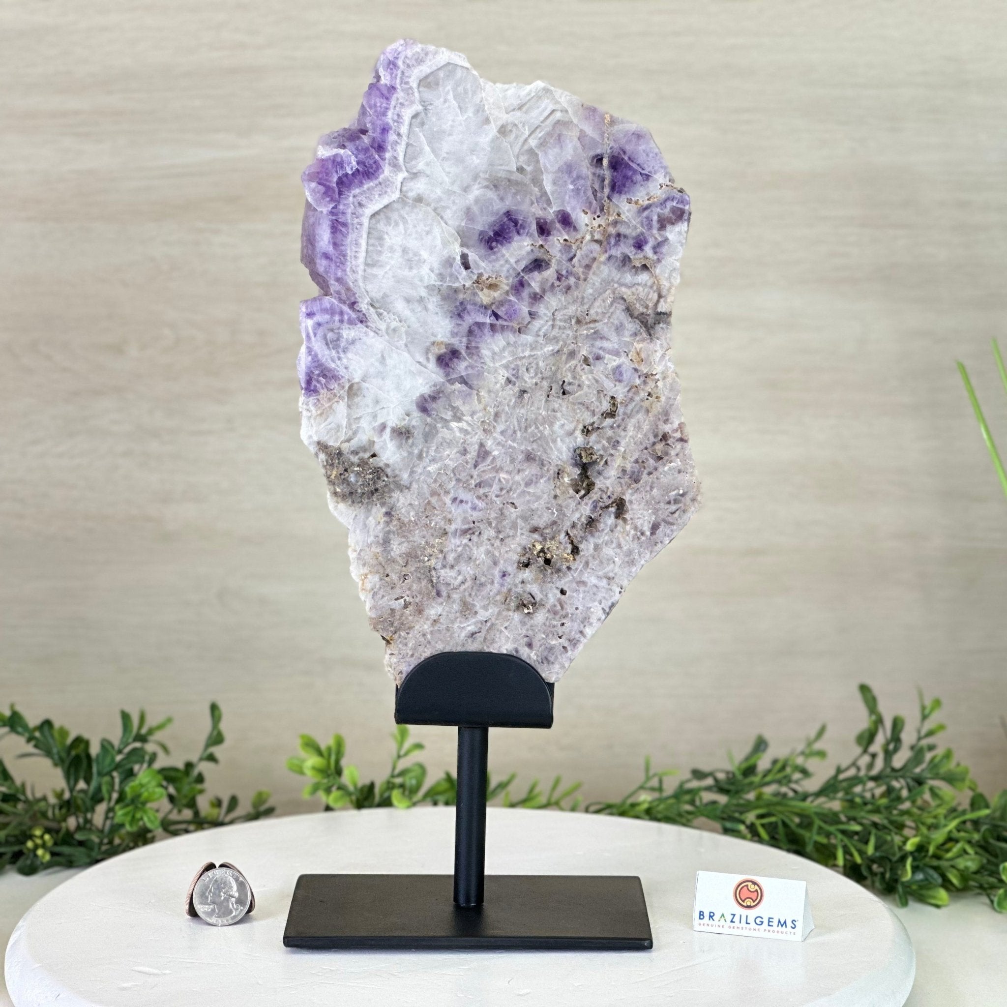 Chevron Amethyst Crystal Slice on a Stand, 4.7 lbs & 14.6" Tall #5621AC - 012 - Brazil GemsBrazil GemsChevron Amethyst Crystal Slice on a Stand, 4.7 lbs & 14.6" Tall #5621AC - 012Slices on Fixed Bases5621AC - 012