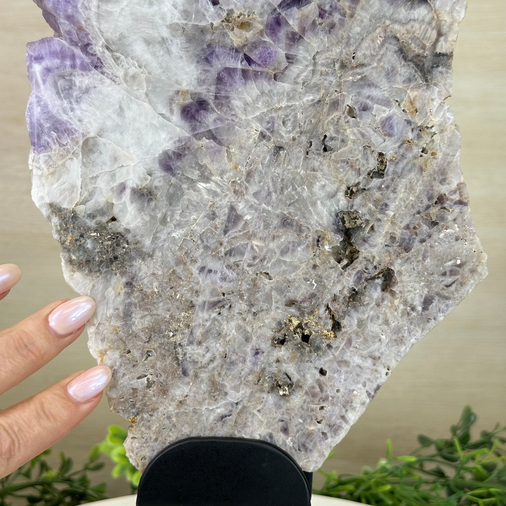 Chevron Amethyst Crystal Slice on a Stand, 4.7 lbs & 14.6" Tall #5621AC - 012 - Brazil GemsBrazil GemsChevron Amethyst Crystal Slice on a Stand, 4.7 lbs & 14.6" Tall #5621AC - 012Slices on Fixed Bases5621AC - 012