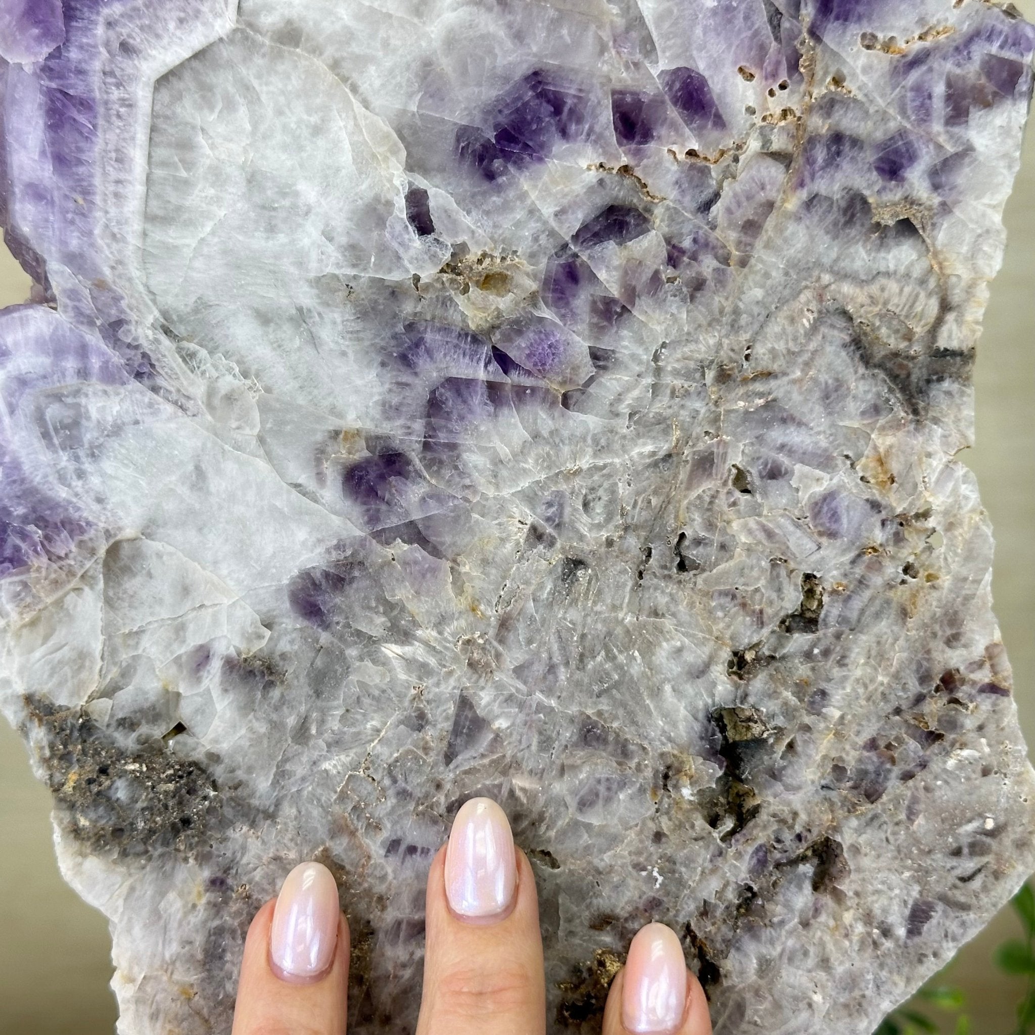 Chevron Amethyst Crystal Slice on a Stand, 4.7 lbs & 14.6" Tall #5621AC - 012 - Brazil GemsBrazil GemsChevron Amethyst Crystal Slice on a Stand, 4.7 lbs & 14.6" Tall #5621AC - 012Slices on Fixed Bases5621AC - 012