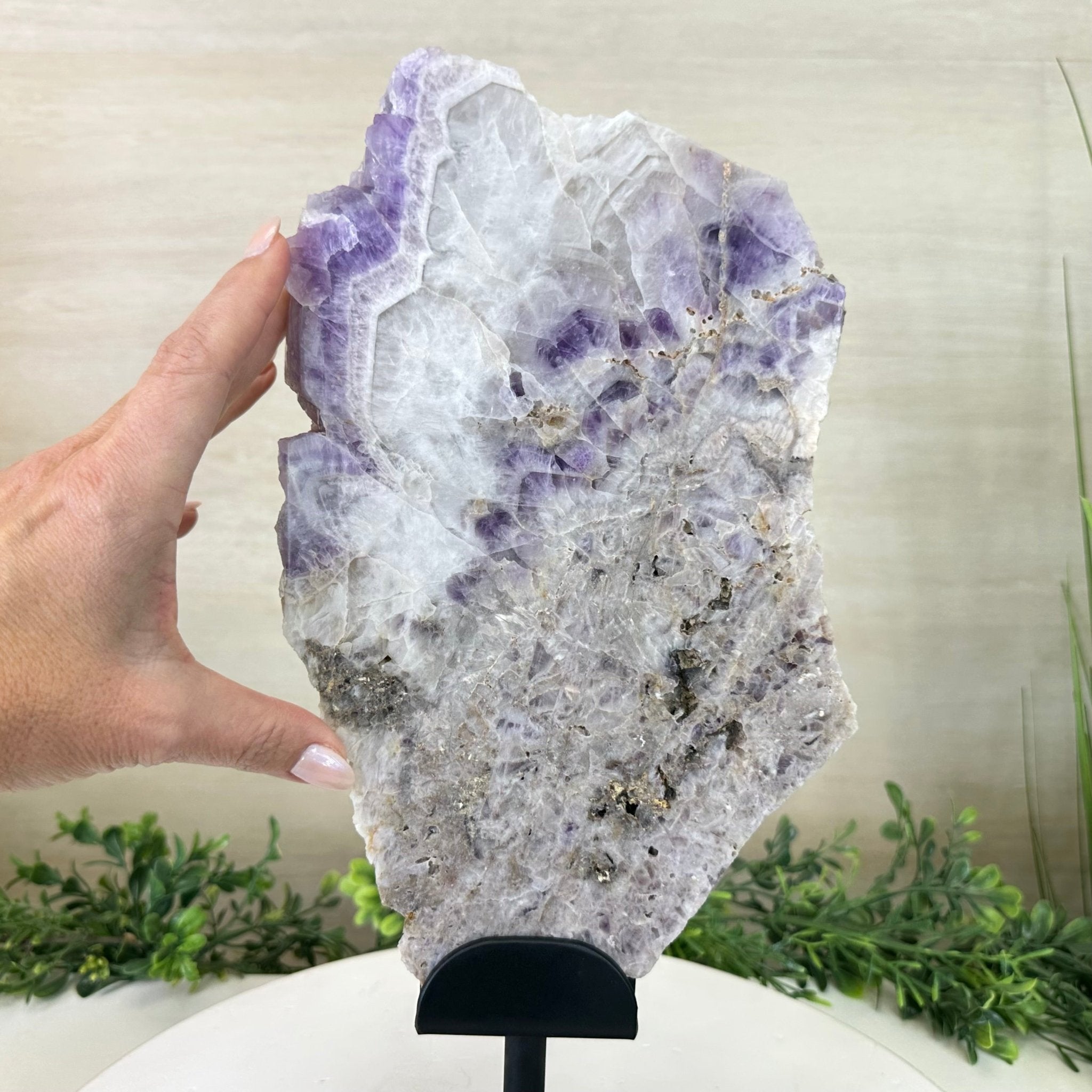 Chevron Amethyst Crystal Slice on a Stand, 4.7 lbs & 14.6" Tall #5621AC - 012 - Brazil GemsBrazil GemsChevron Amethyst Crystal Slice on a Stand, 4.7 lbs & 14.6" Tall #5621AC - 012Slices on Fixed Bases5621AC - 012