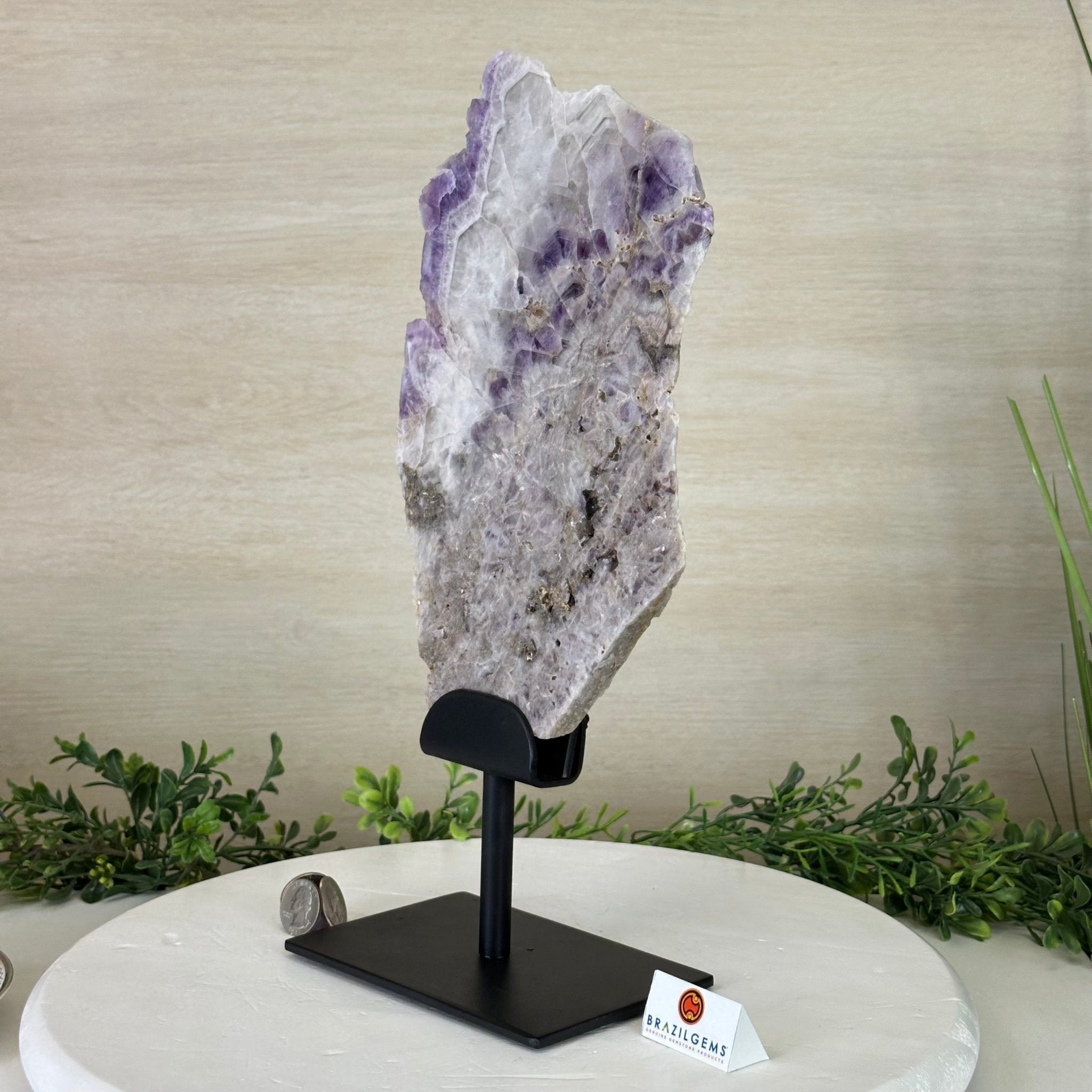 Chevron Amethyst Crystal Slice on a Stand, 4.7 lbs & 14.6" Tall #5621AC - 012 - Brazil GemsBrazil GemsChevron Amethyst Crystal Slice on a Stand, 4.7 lbs & 14.6" Tall #5621AC - 012Slices on Fixed Bases5621AC - 012