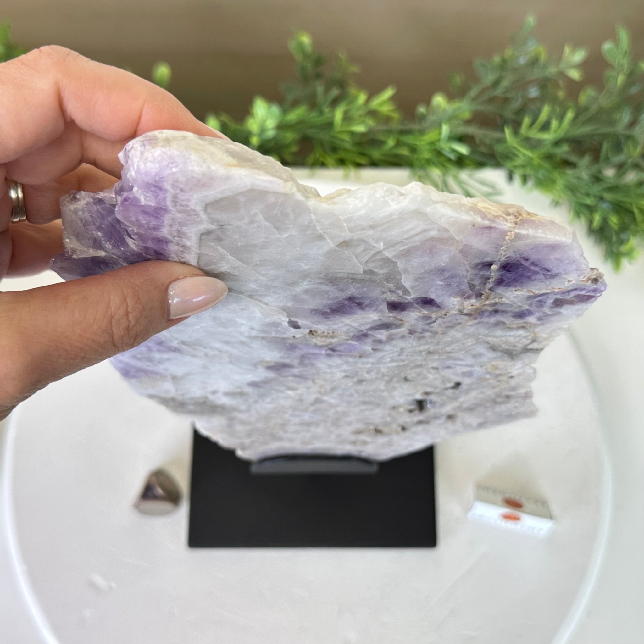 Chevron Amethyst Crystal Slice on a Stand, 4.7 lbs & 14.6" Tall #5621AC - 012 - Brazil GemsBrazil GemsChevron Amethyst Crystal Slice on a Stand, 4.7 lbs & 14.6" Tall #5621AC - 012Slices on Fixed Bases5621AC - 012